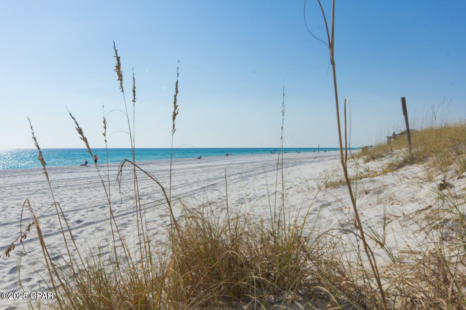 Image 44 For 9900 Thomas 1917 Drive 1917