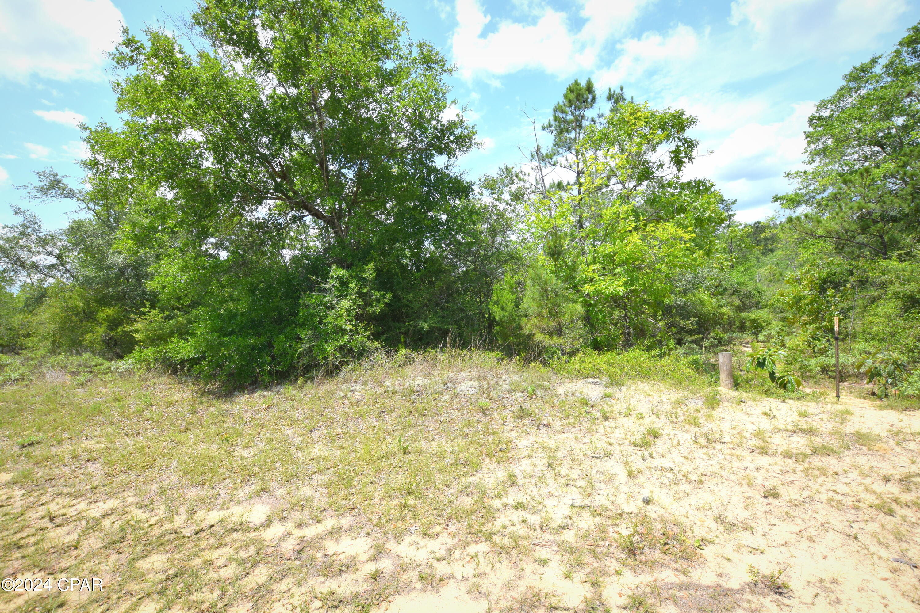 Homes for sale in Chipley, FL | Tbd Lot 40 Bluestone Dr, Chipley, FL 32428 | MLS# 757649