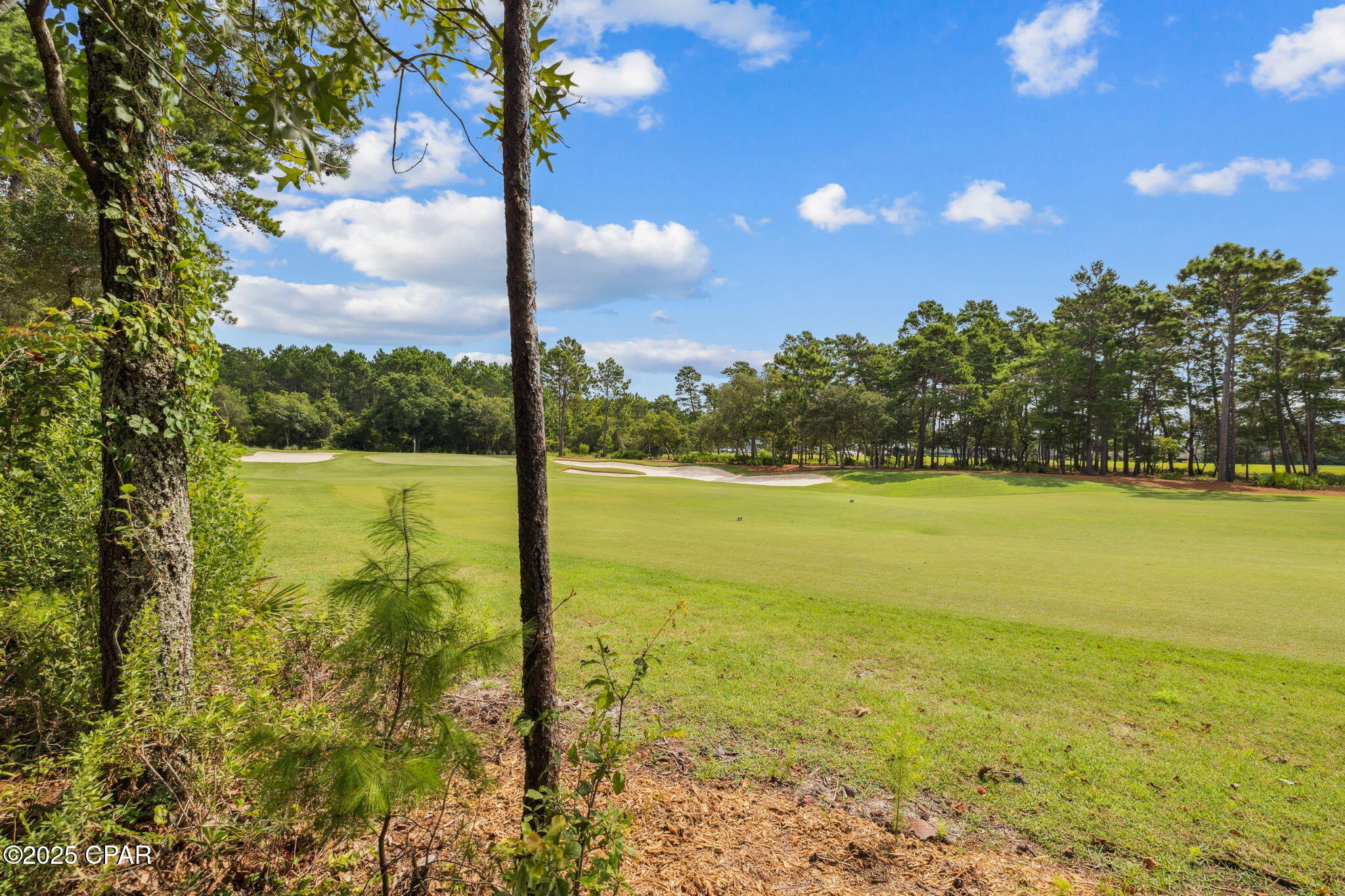 Image 73 For 1628 Lost Cove Lane