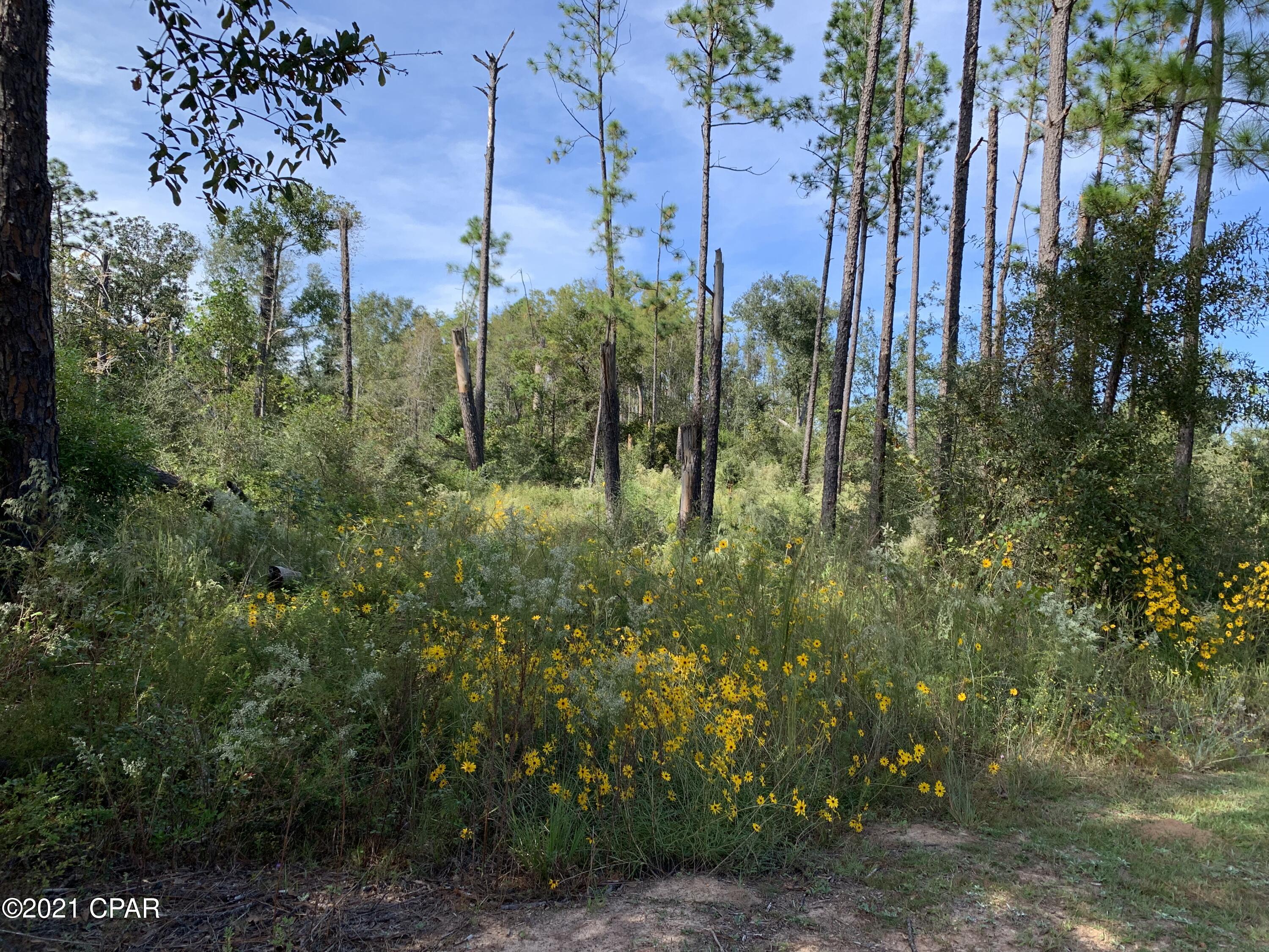 Image 2 For 0 Drury Lane