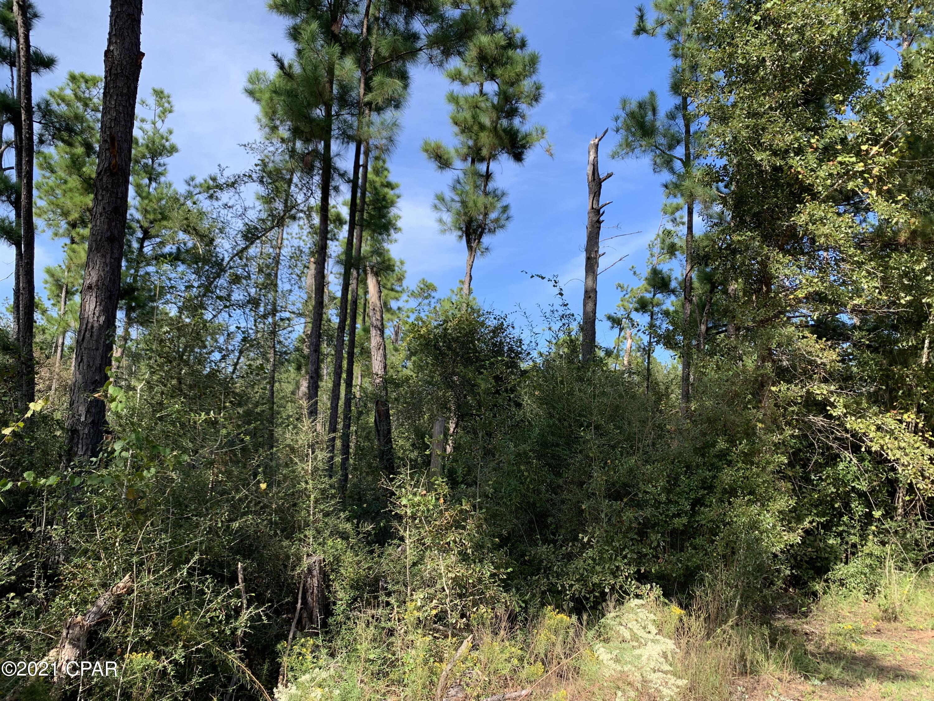 Image 4 For 0 Drury Lane