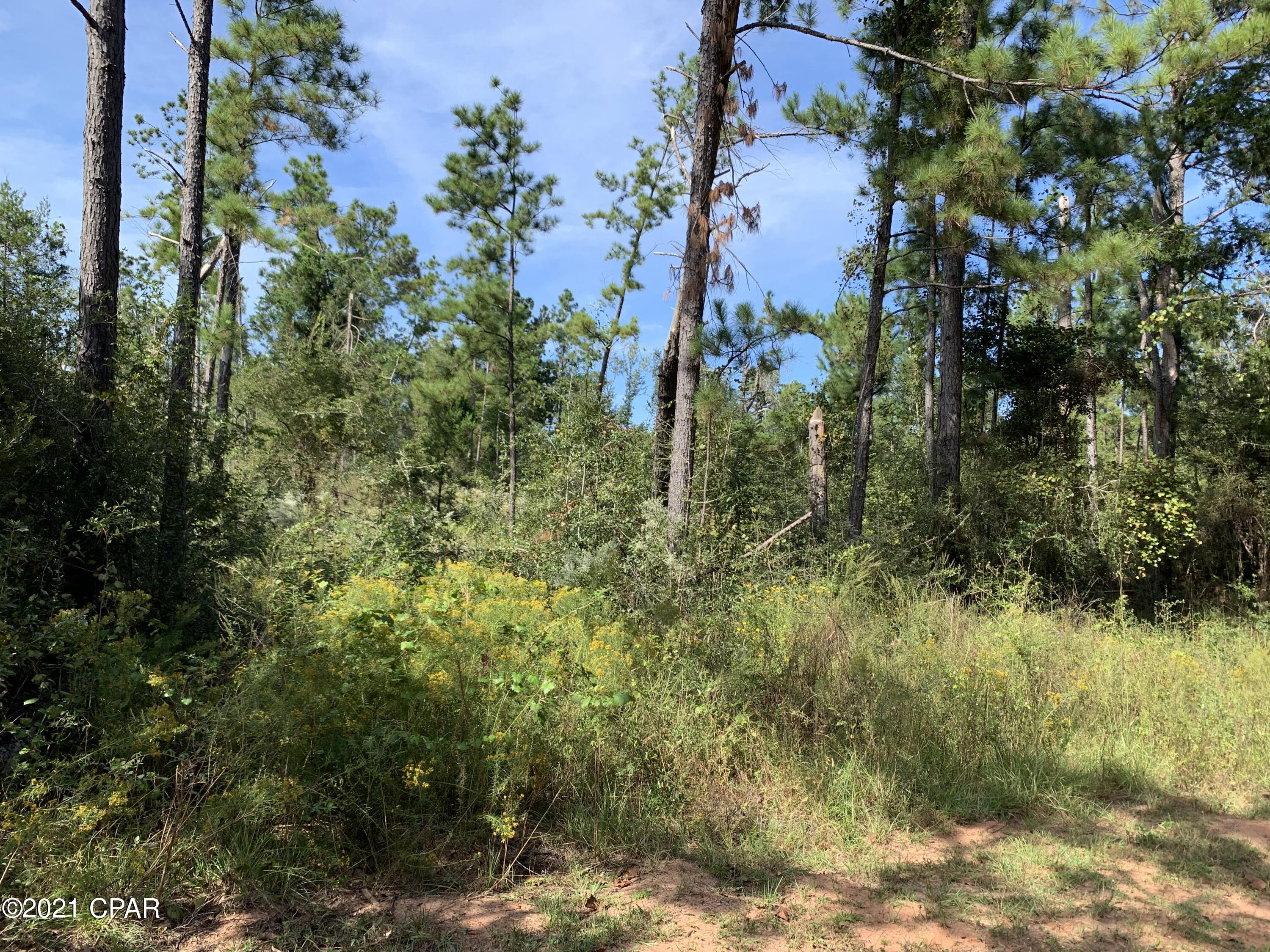 Image 5 For 0 Drury Lane