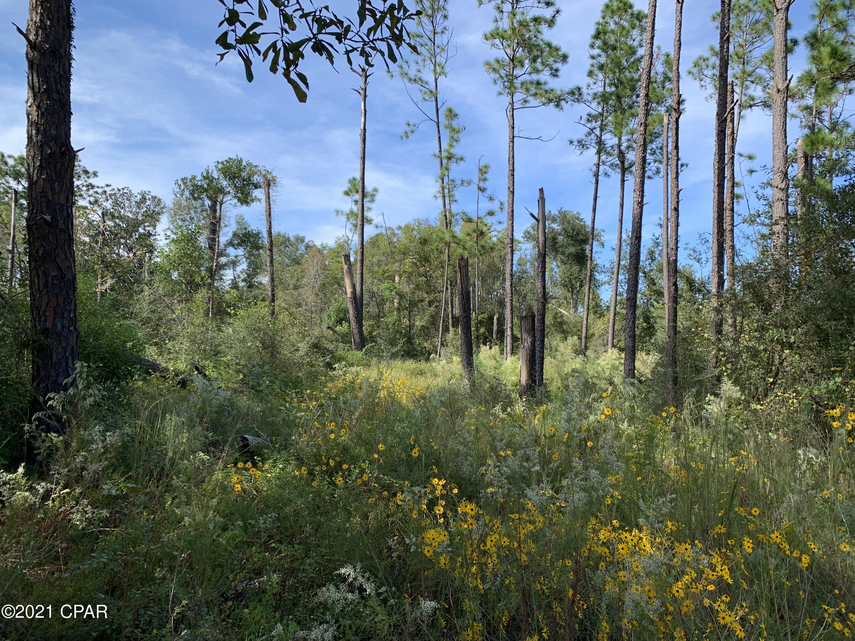 Image 6 For 0 Drury Lane