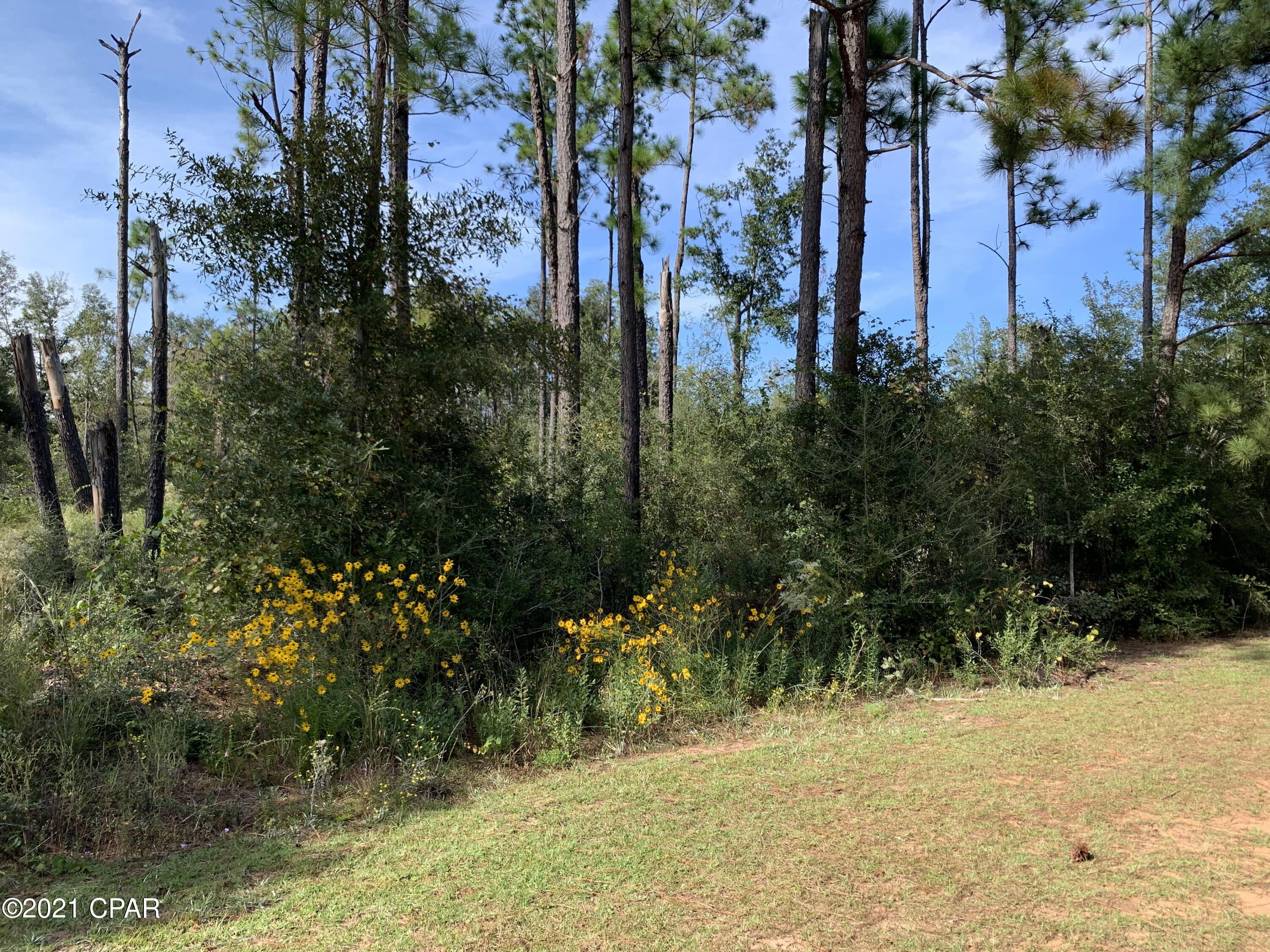 Image 7 For 0 Drury Lane