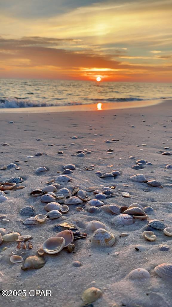 Image 14 For 164 Canal Drive