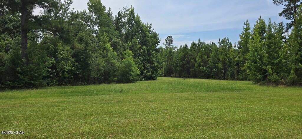 Image 7 For 320 Freeman Rouse Road