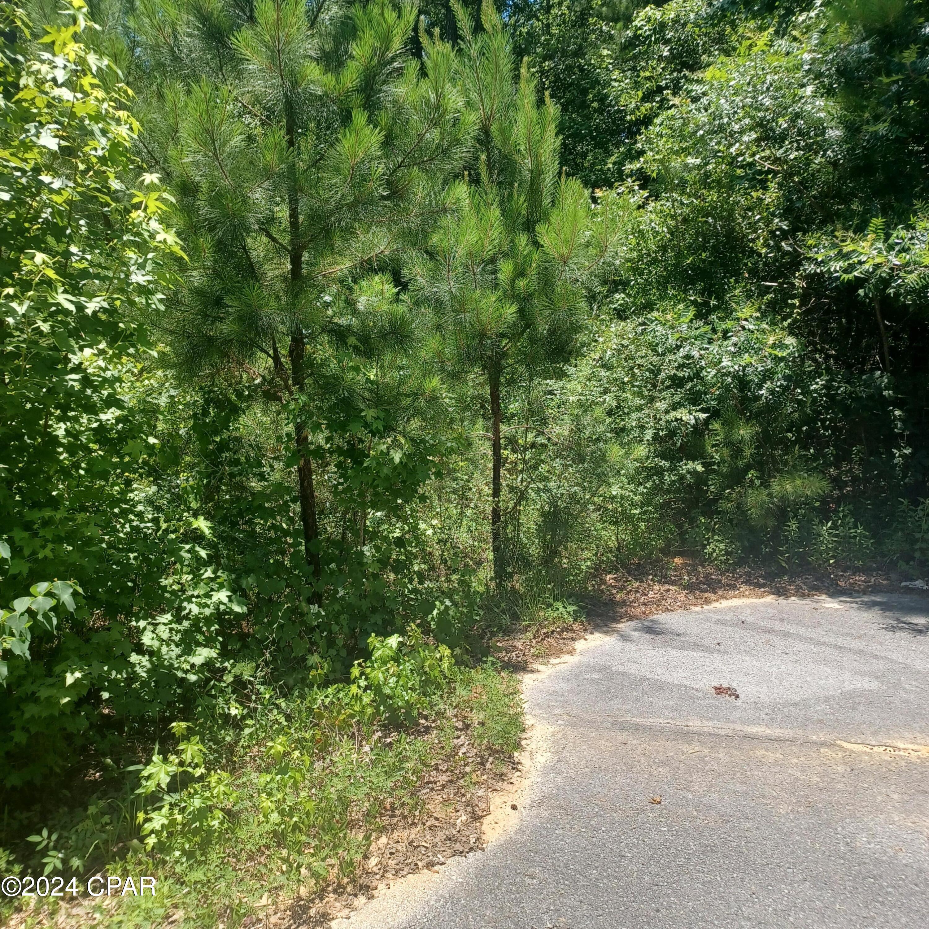 Homes for sale in Defuniak Springs, FL | Lot 5 Pleasant Way, Defuniak Springs, FL 32435 | MLS# 758357