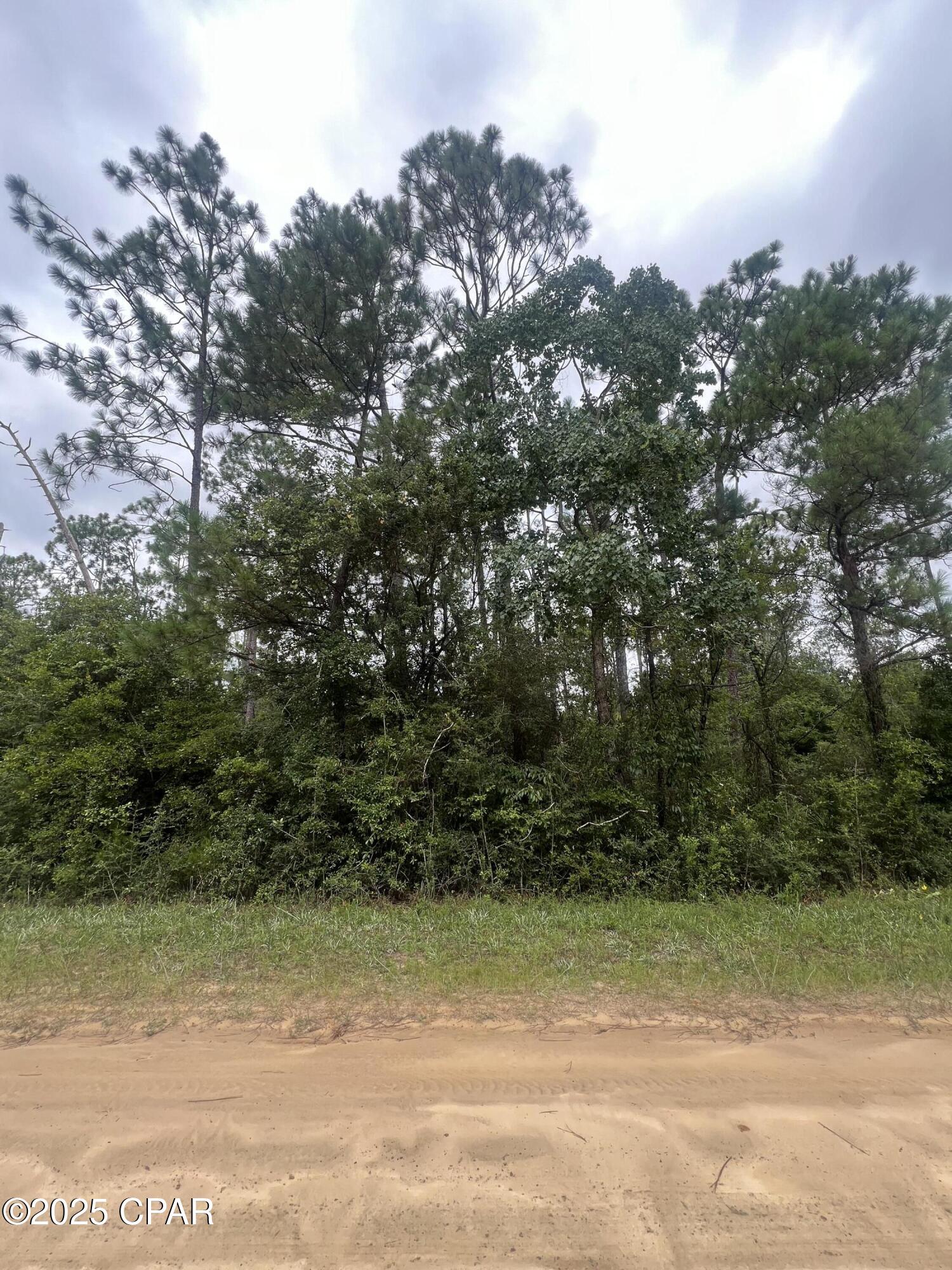 Details for 0 Brandon Road, Fountain, FL 32438