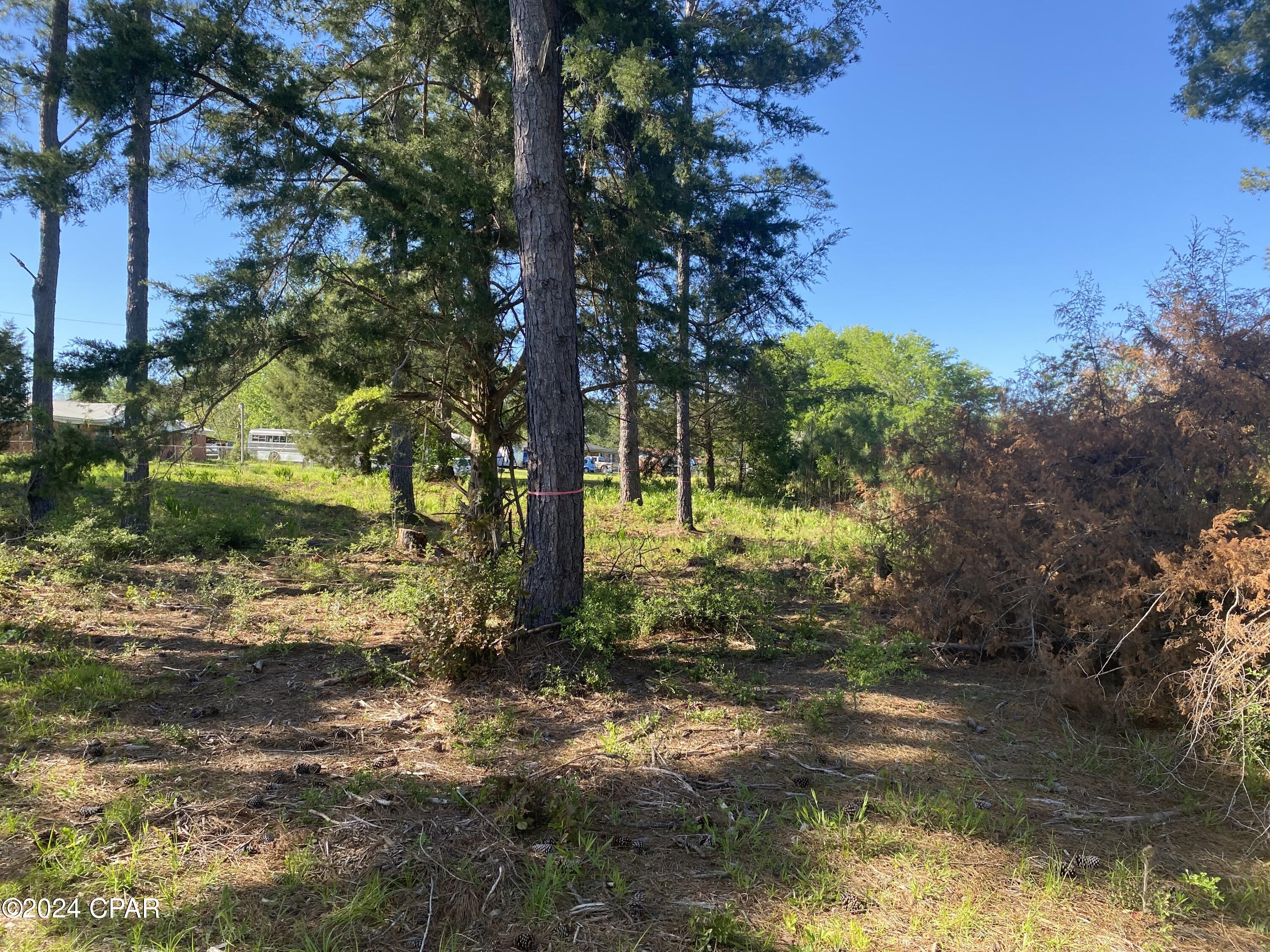 Image 10 For 2338 Sweetgum Drive