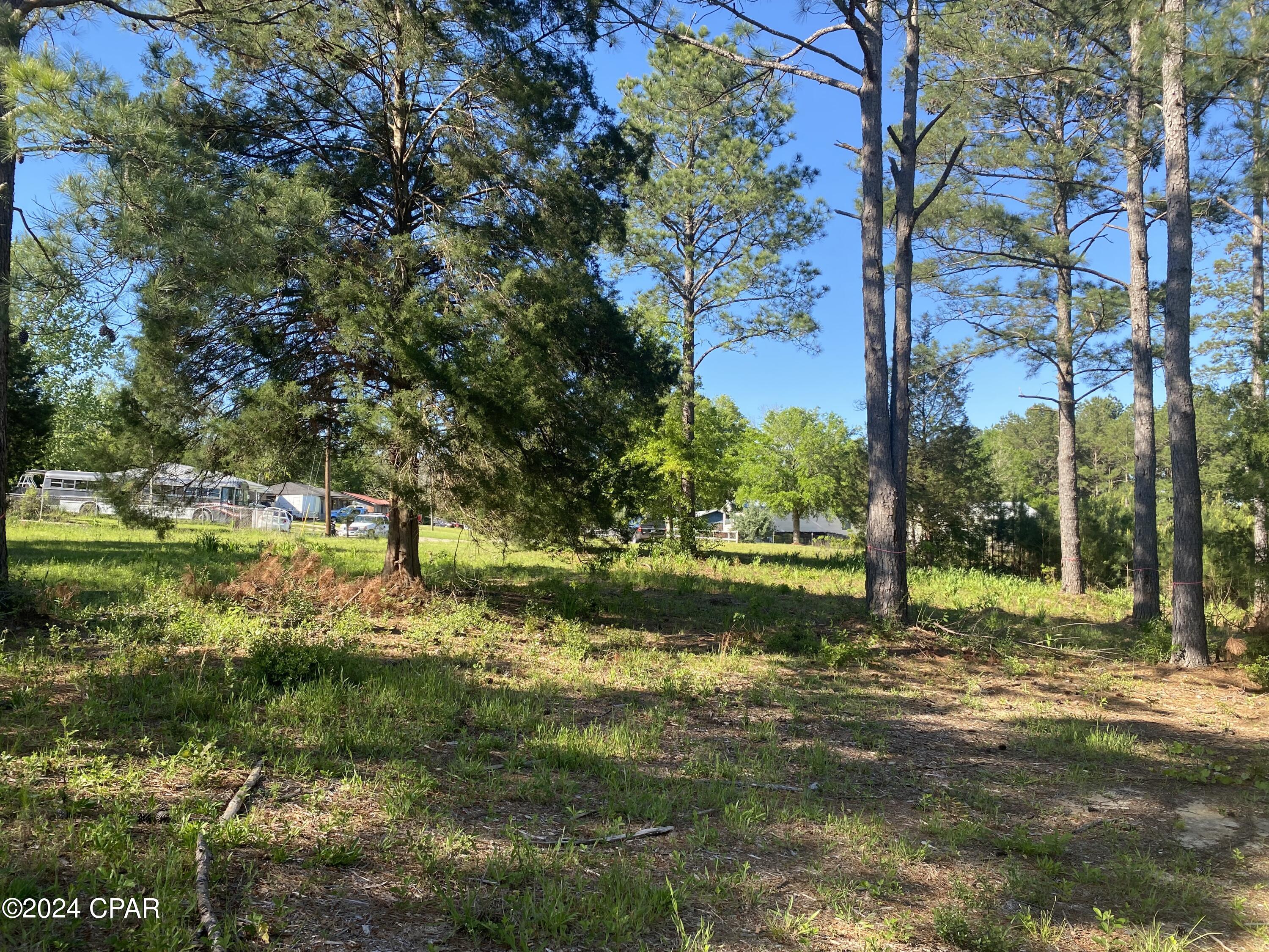 Image 12 For 2338 Sweetgum Drive