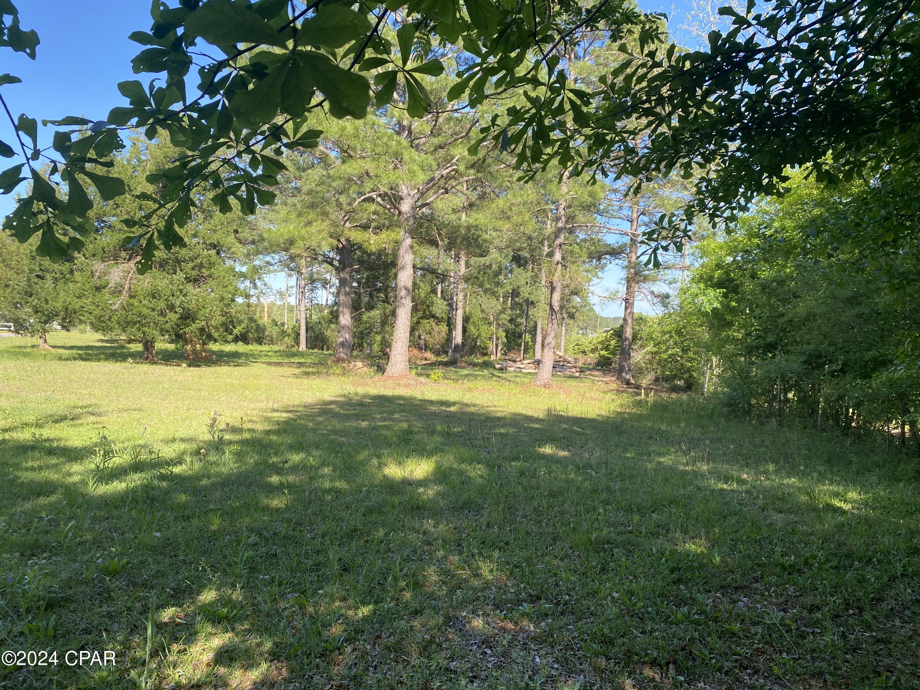 Image 3 For 2338 Sweetgum Drive