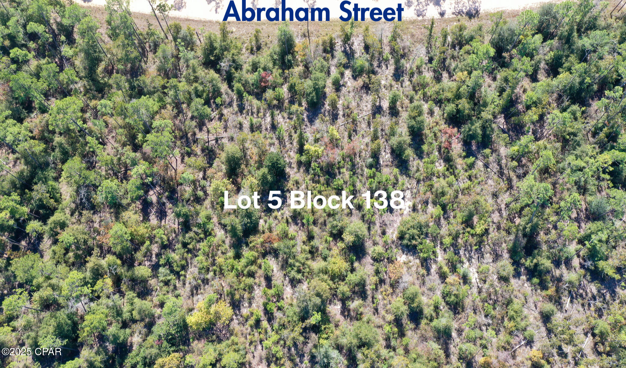 Homes for sale in Alford, FL | Lot 5 Blk 138 Abraham St, Alford, FL 32420 | MLS# 774378