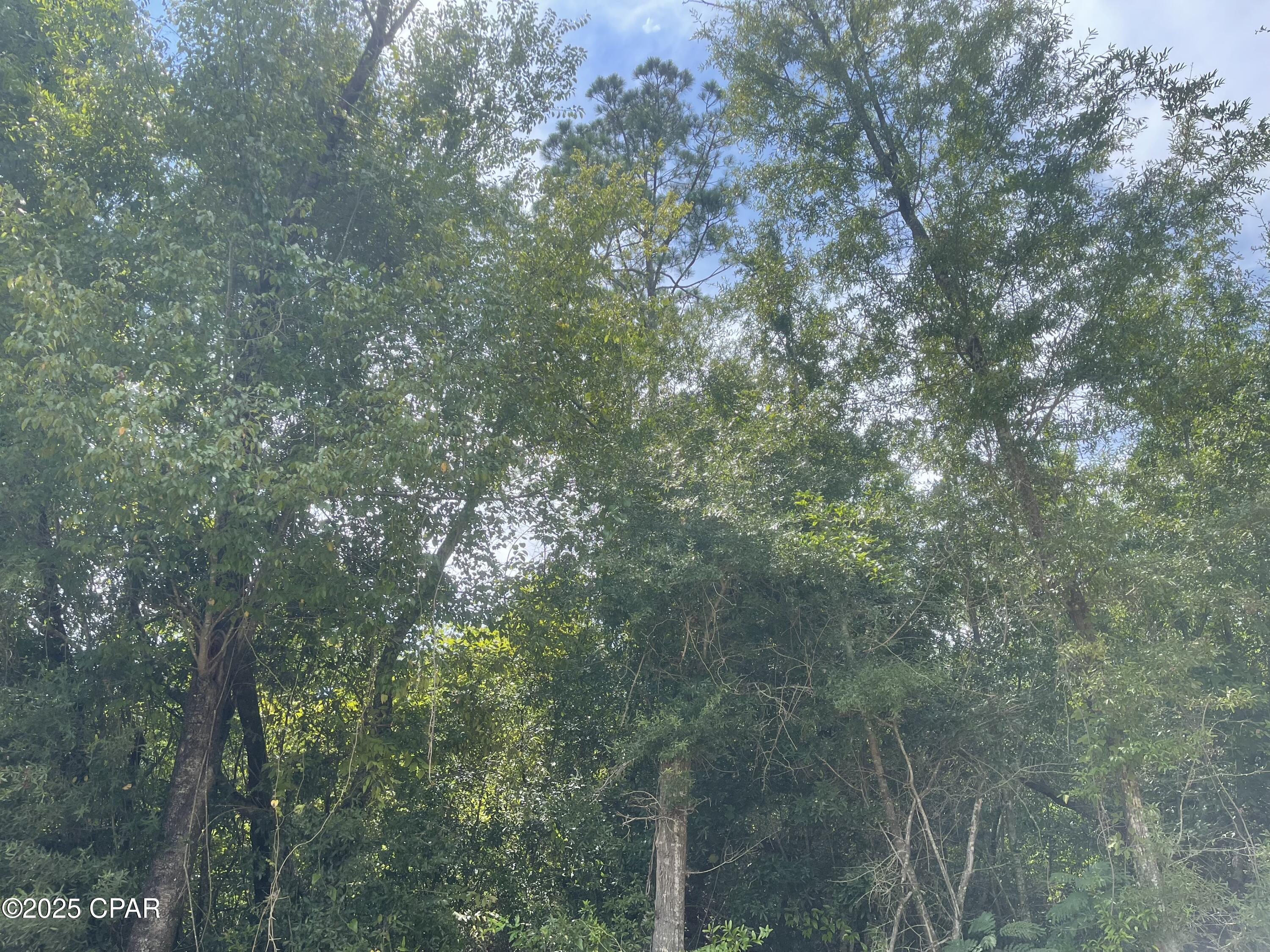 Homes for sale in Greenwood, FL | 0000 Lot 9 Calhoun Road Road, Greenwood, FL 32443 | MLS# 777684