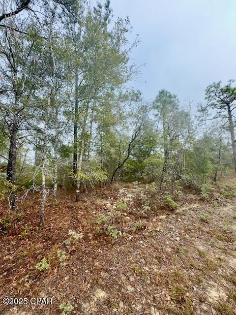 Image 17 For Lot 25 Aldoro Circle