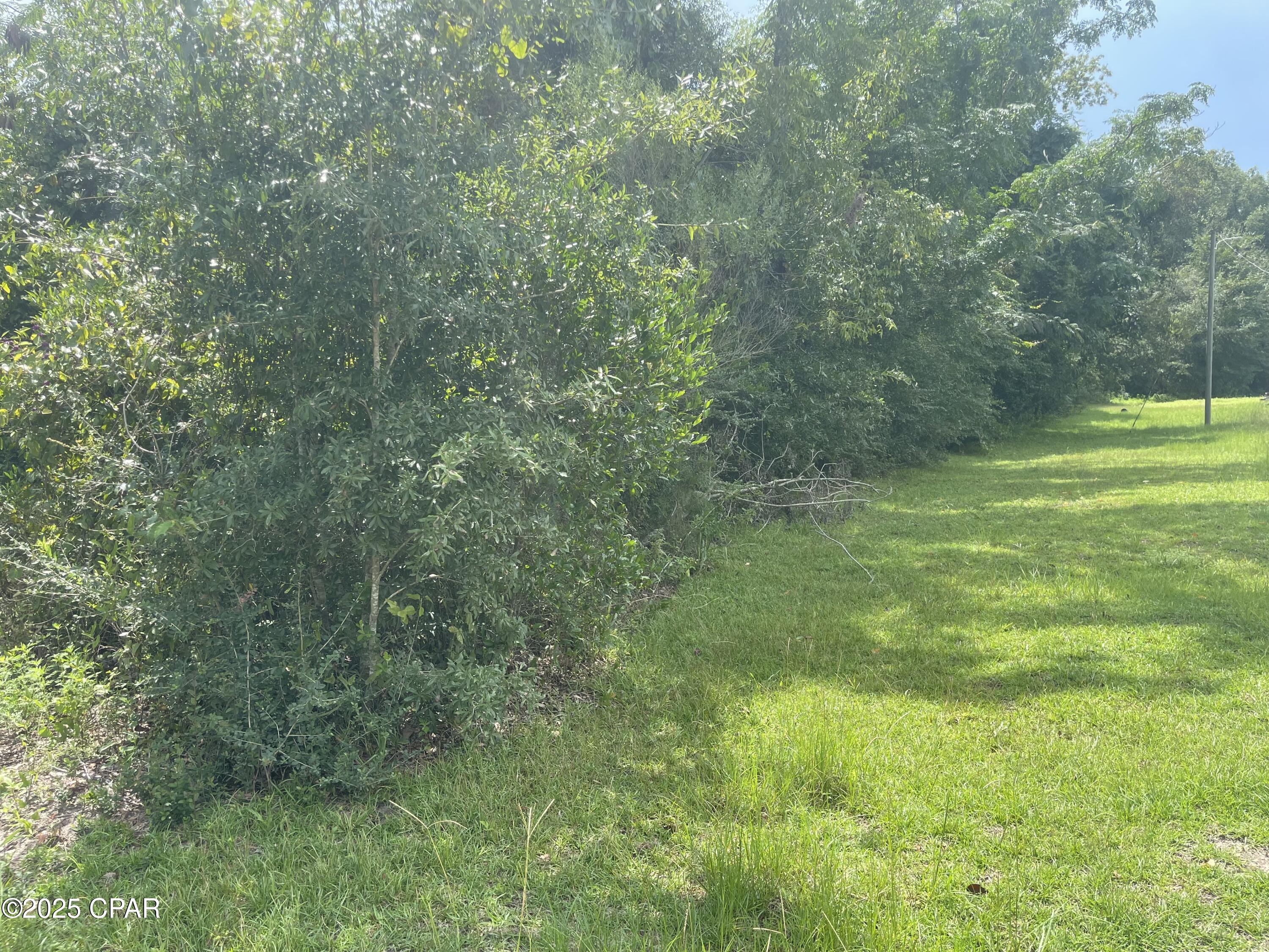 Homes for sale in Greenwood, FL | 0000 Lot 10 Calhoun Rd, Greenwood, FL 32443 | MLS# 777686