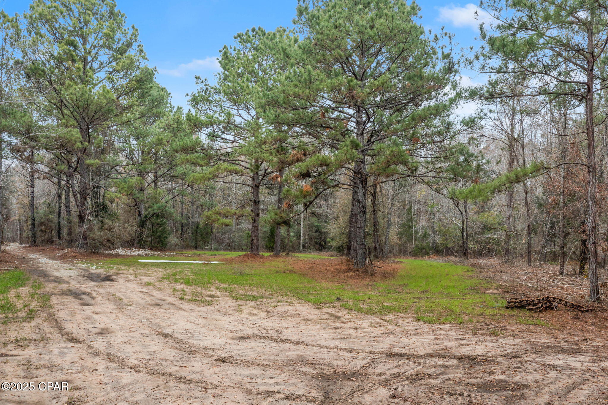 Image 10 For Xxx Hwy 173  