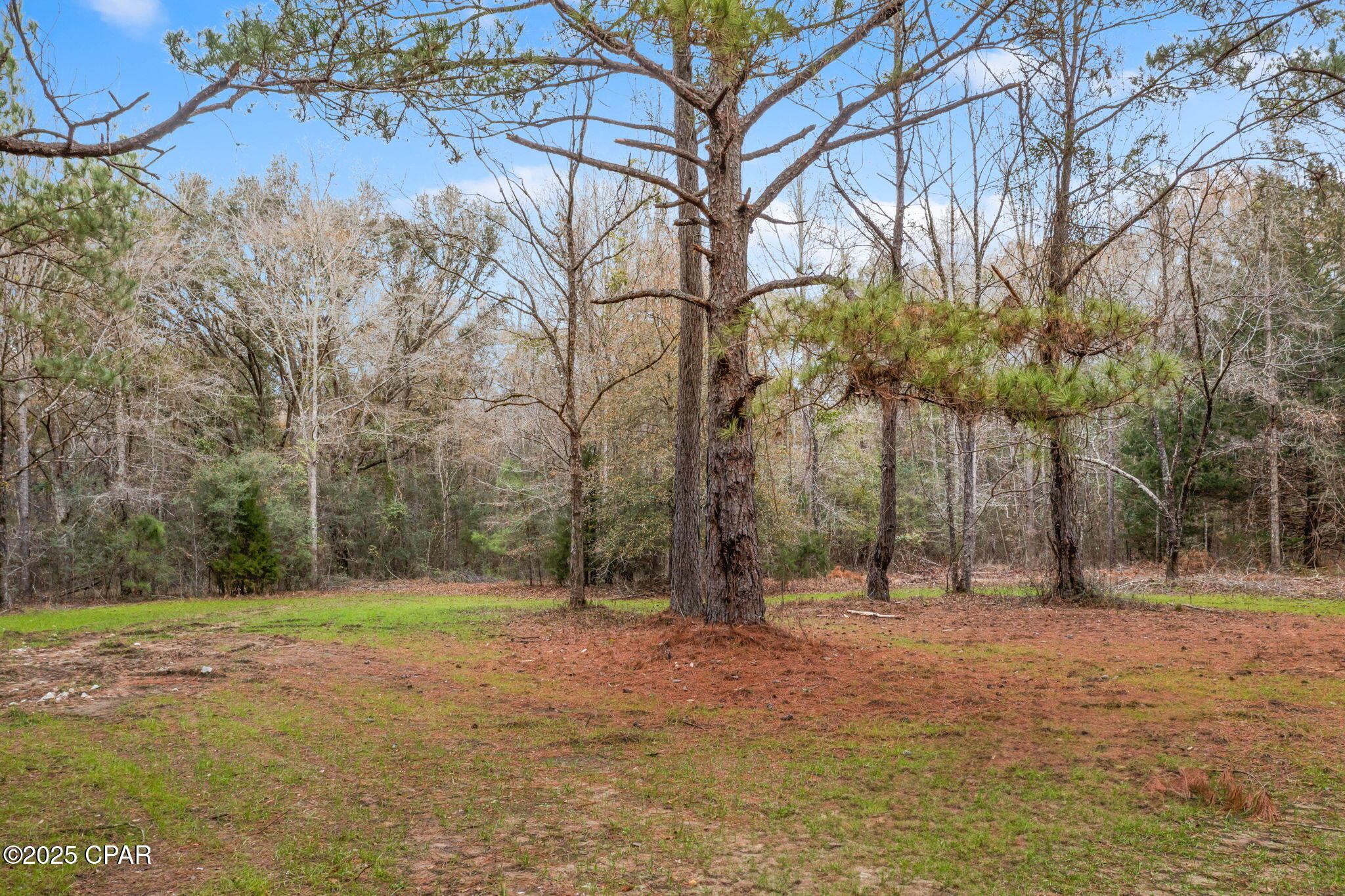 Image 11 For Xxx Hwy 173  