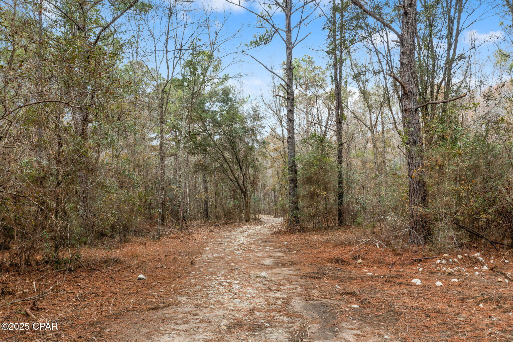 Image 12 For Xxx Hwy 173  