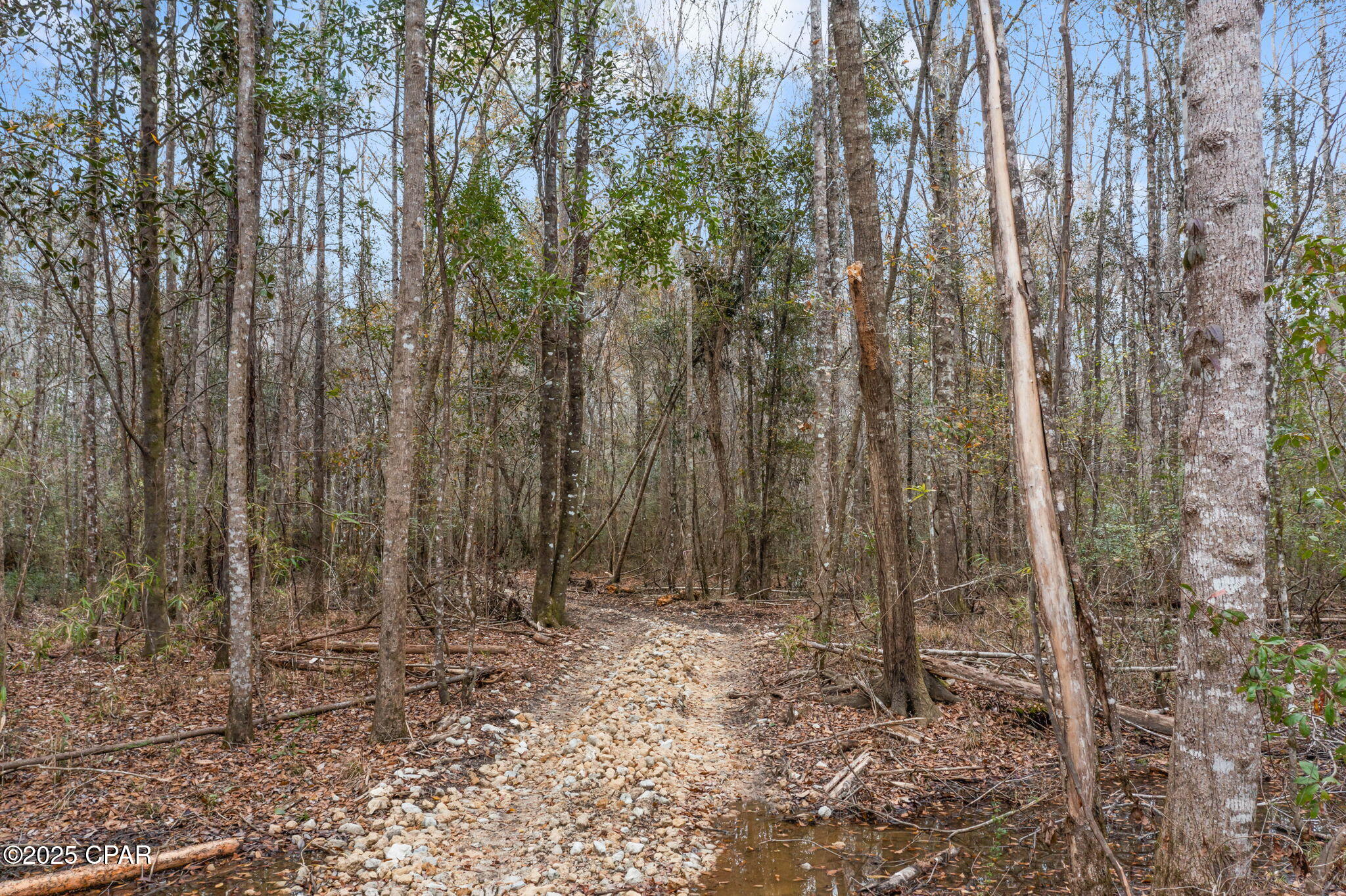 Image 13 For Xxx Hwy 173  