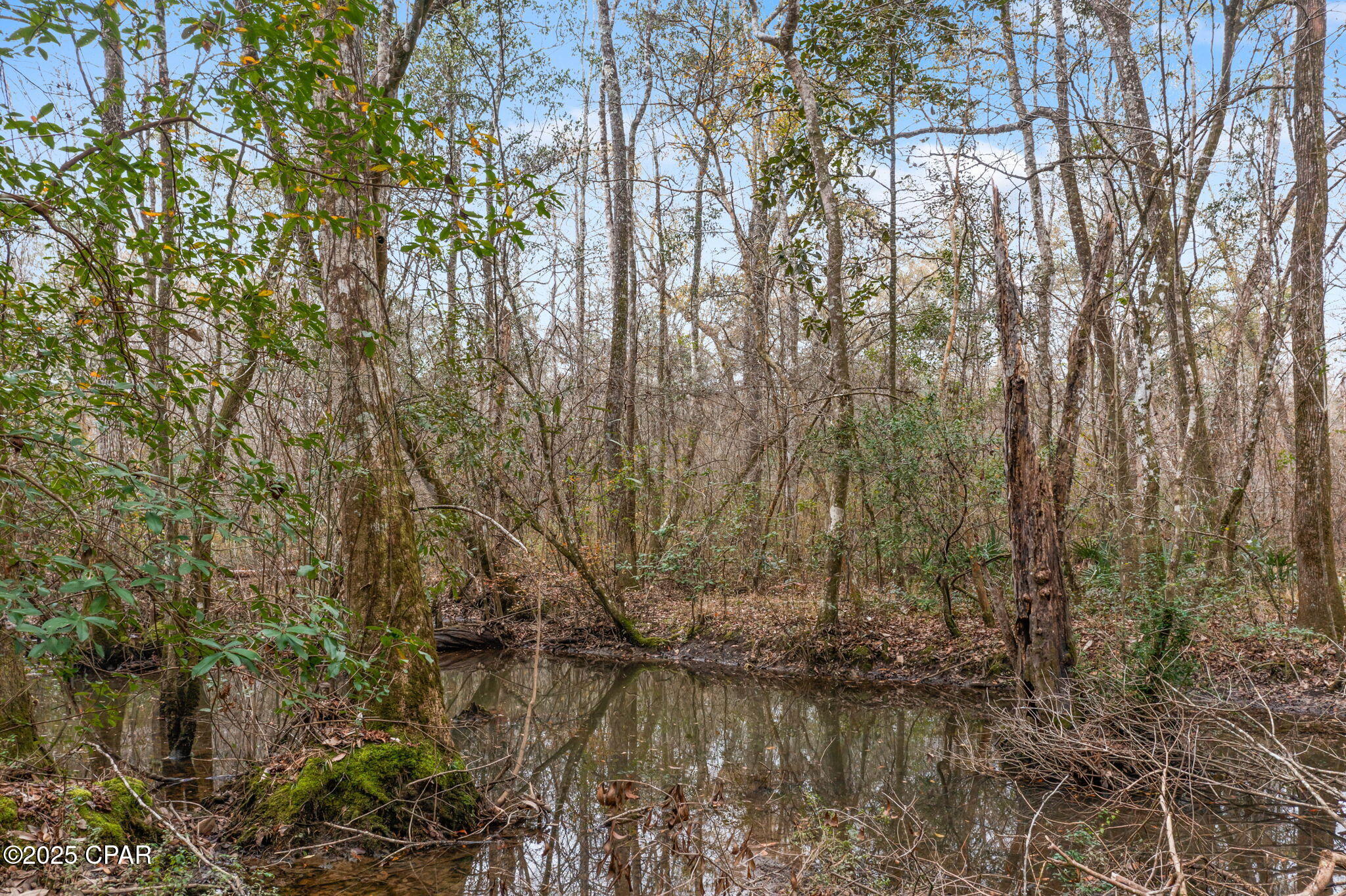 Image 15 For Xxx Hwy 173  