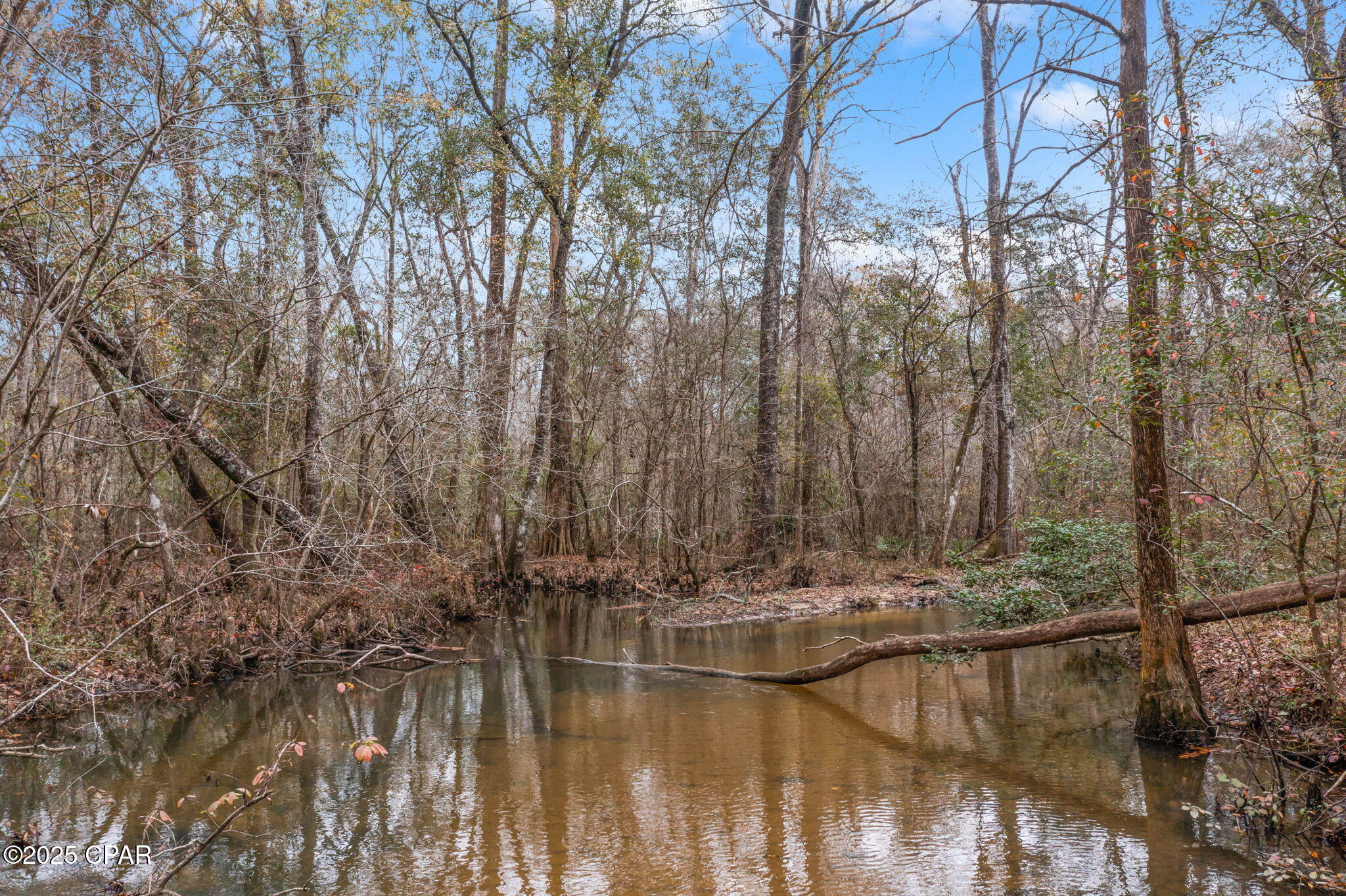 Image 16 For Xxx Hwy 173  