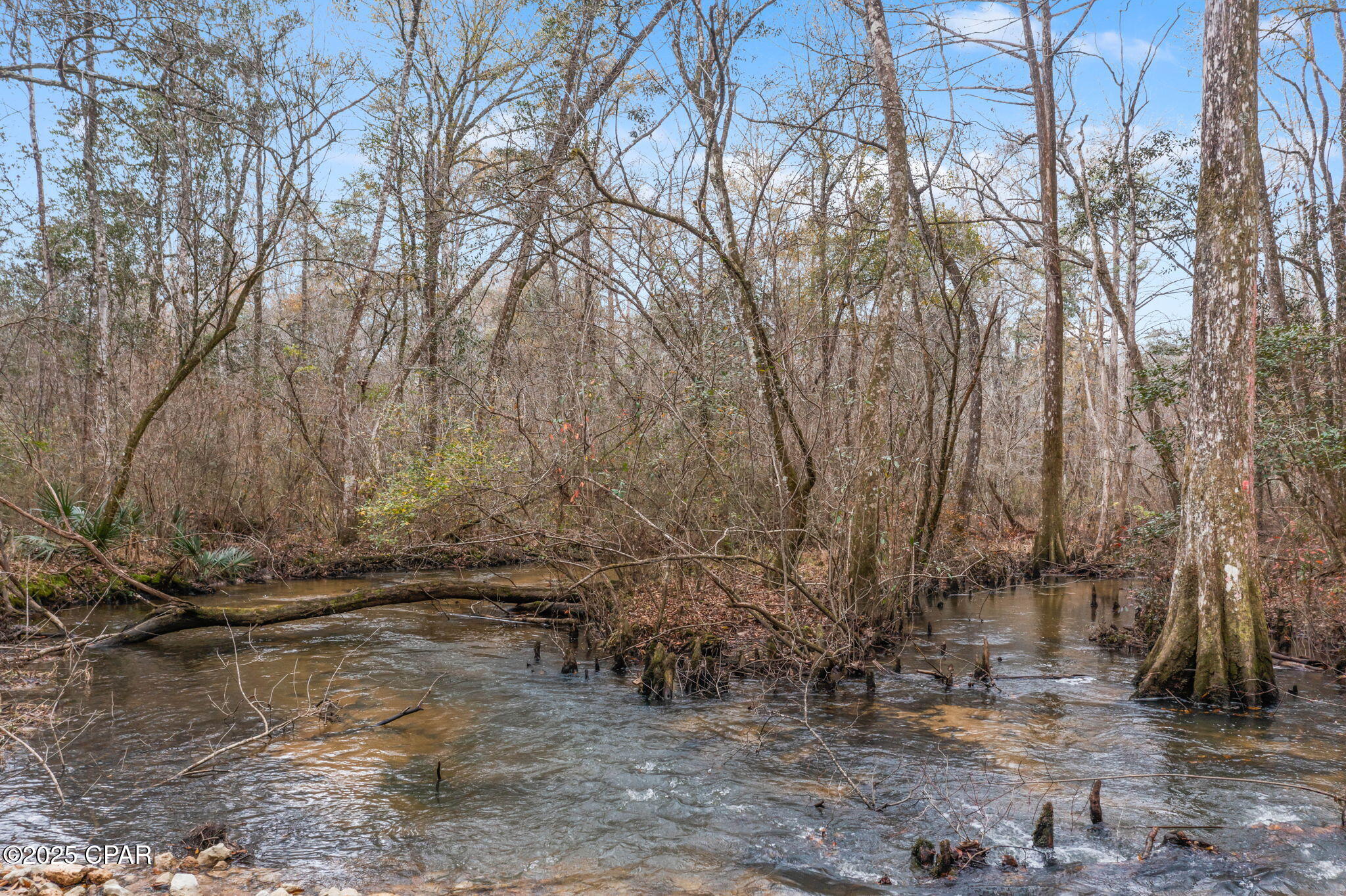 Image 17 For Xxx Hwy 173  