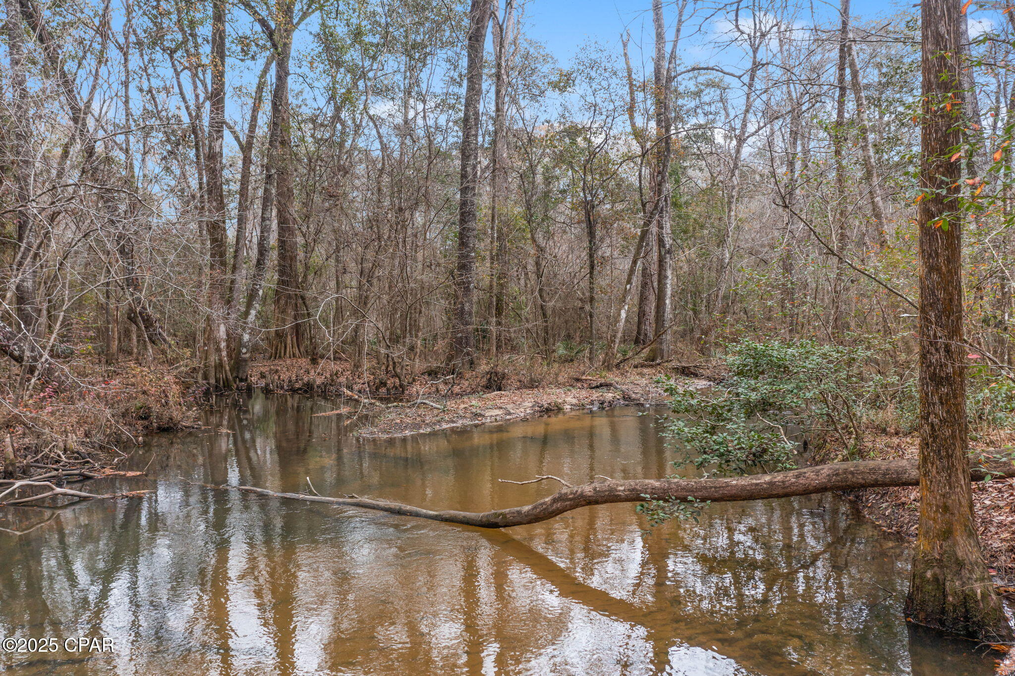 Image 19 For Xxx Hwy 173  