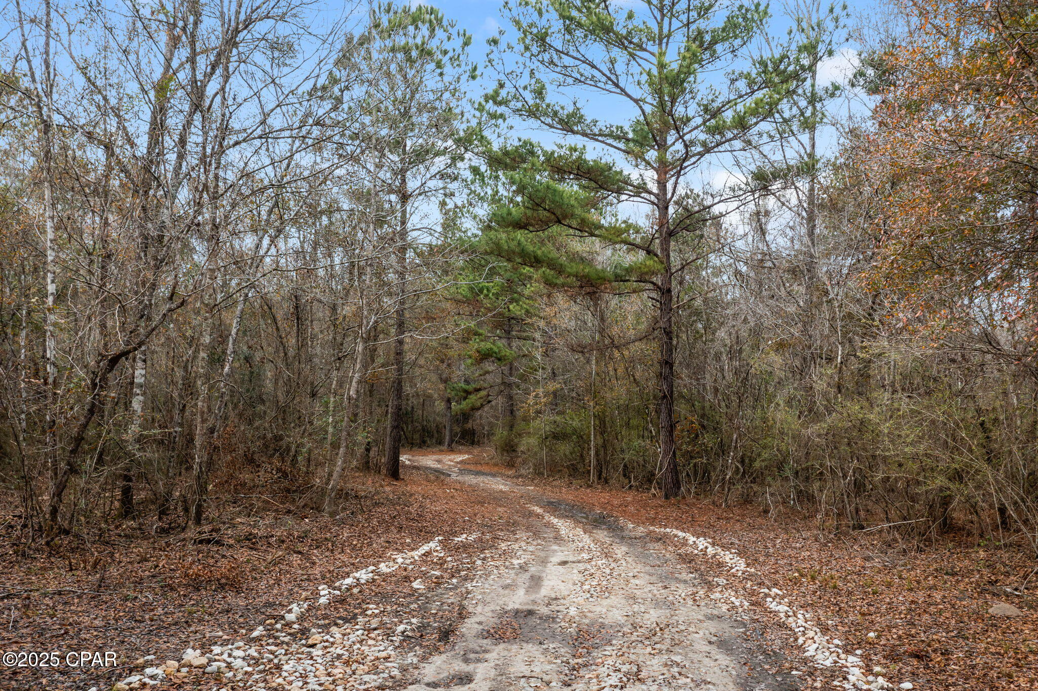 Image 9 For Xxx Hwy 173  