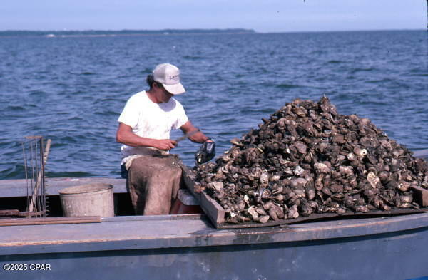 Image 77 For 59 Ave D  