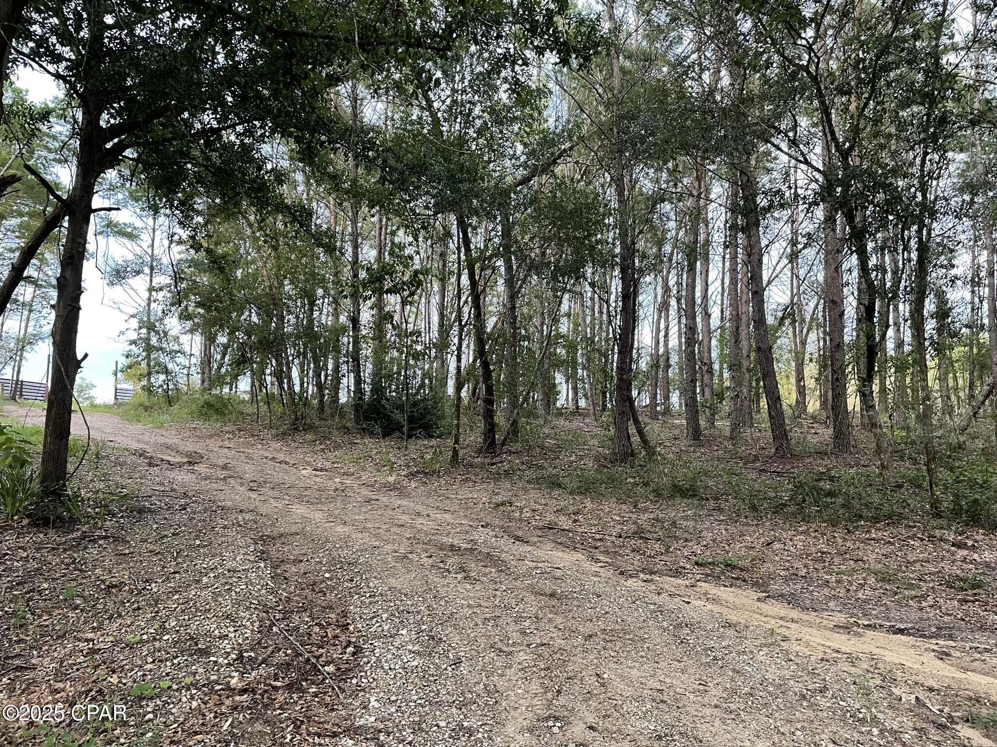 Image 10 For 4801 Lake Ridge Drive