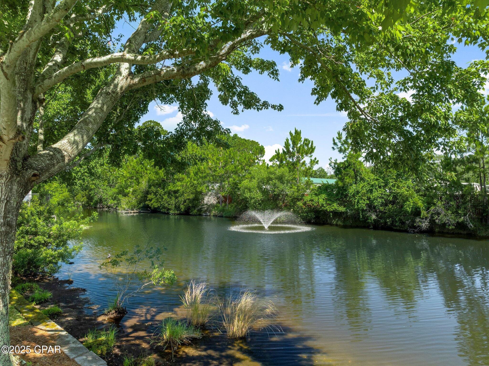 Image 49 For 403 Liverpool Avenue