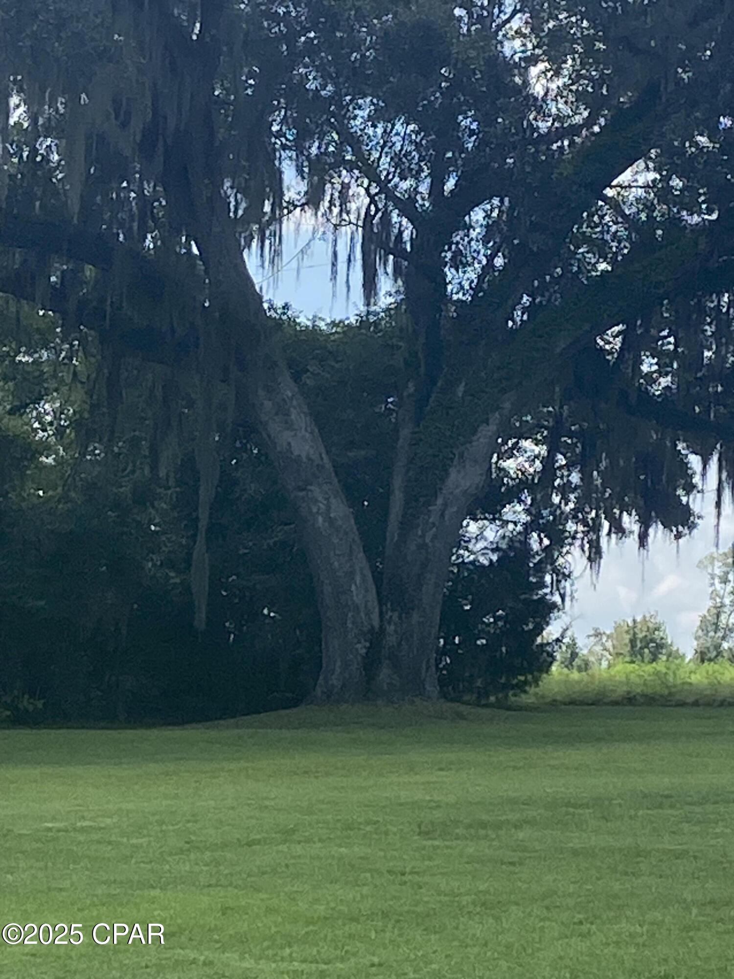 Image 4 For 1386 Parker Road