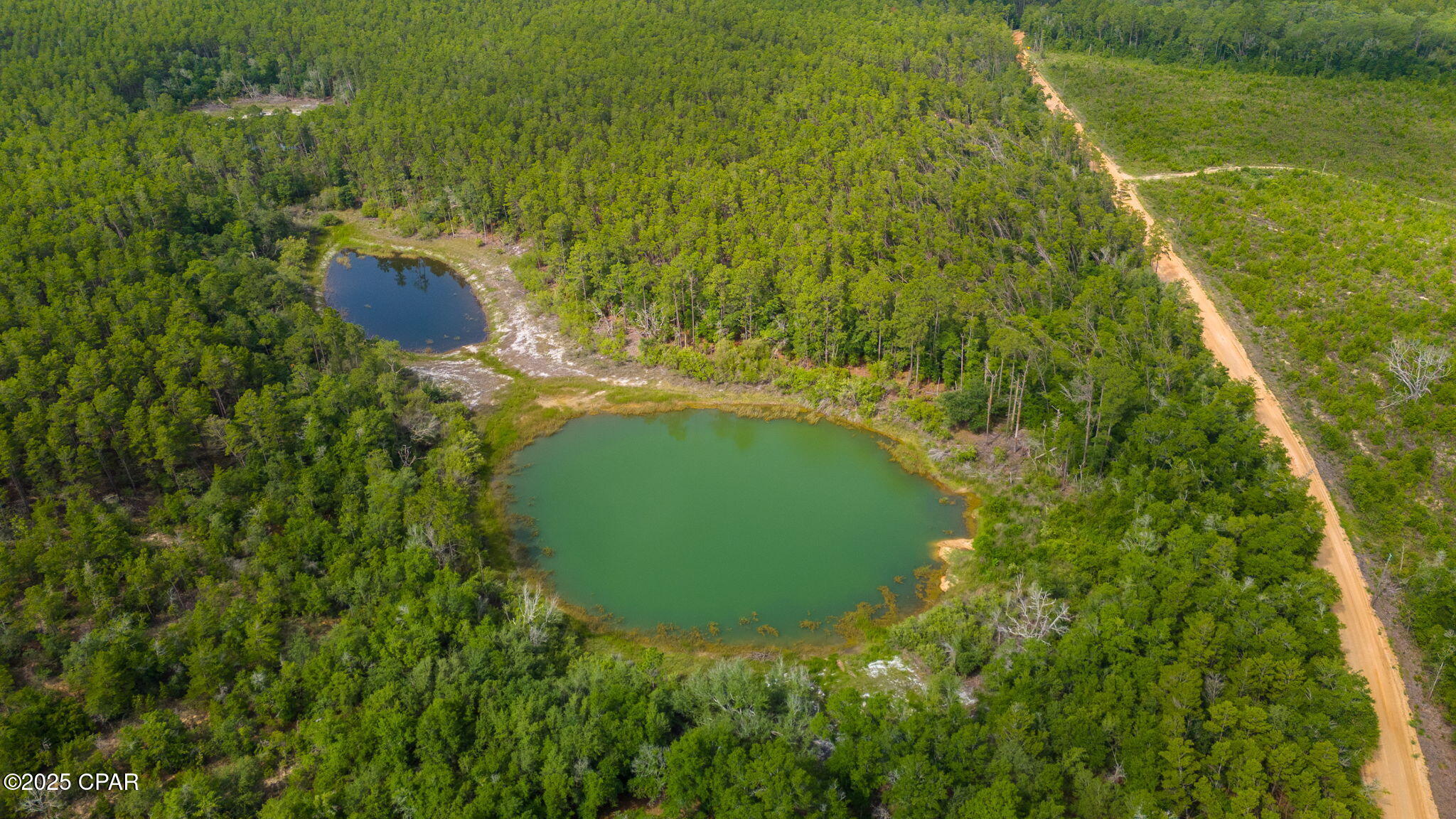 Image 17 For 1371 Deadening Road