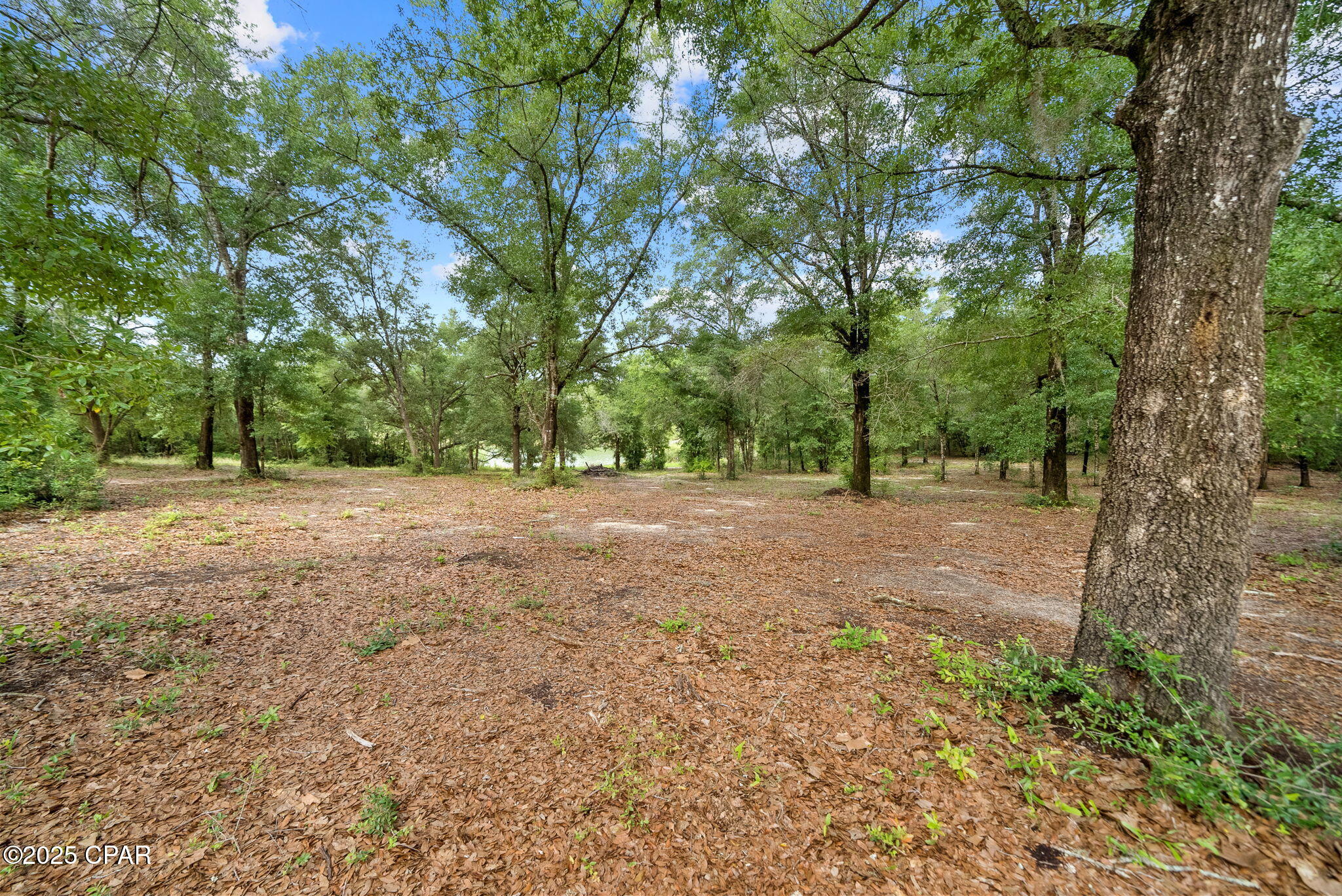 Image 5 For 1371 Deadening Road