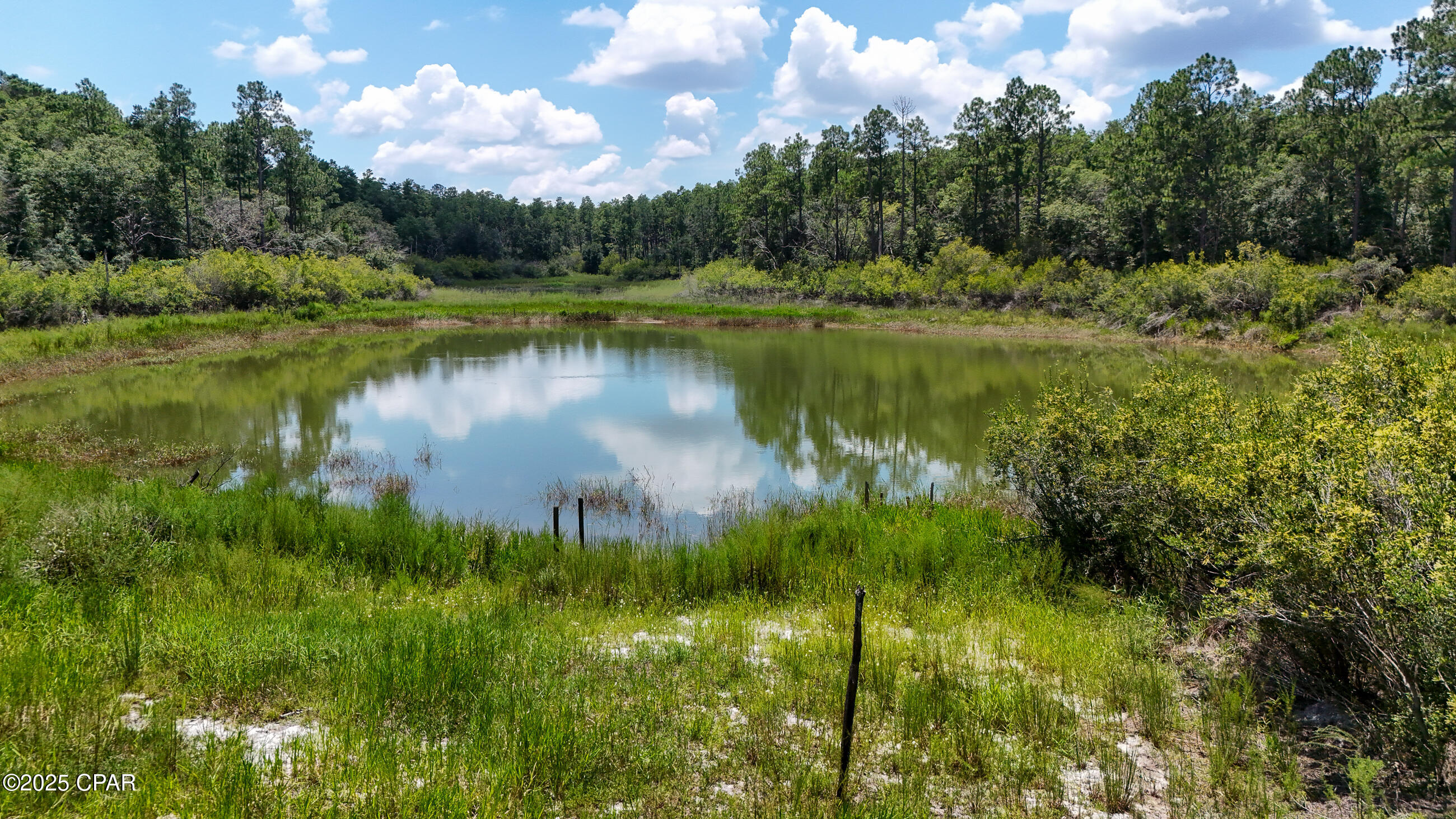 Image 51 For 1371 Deadening Road