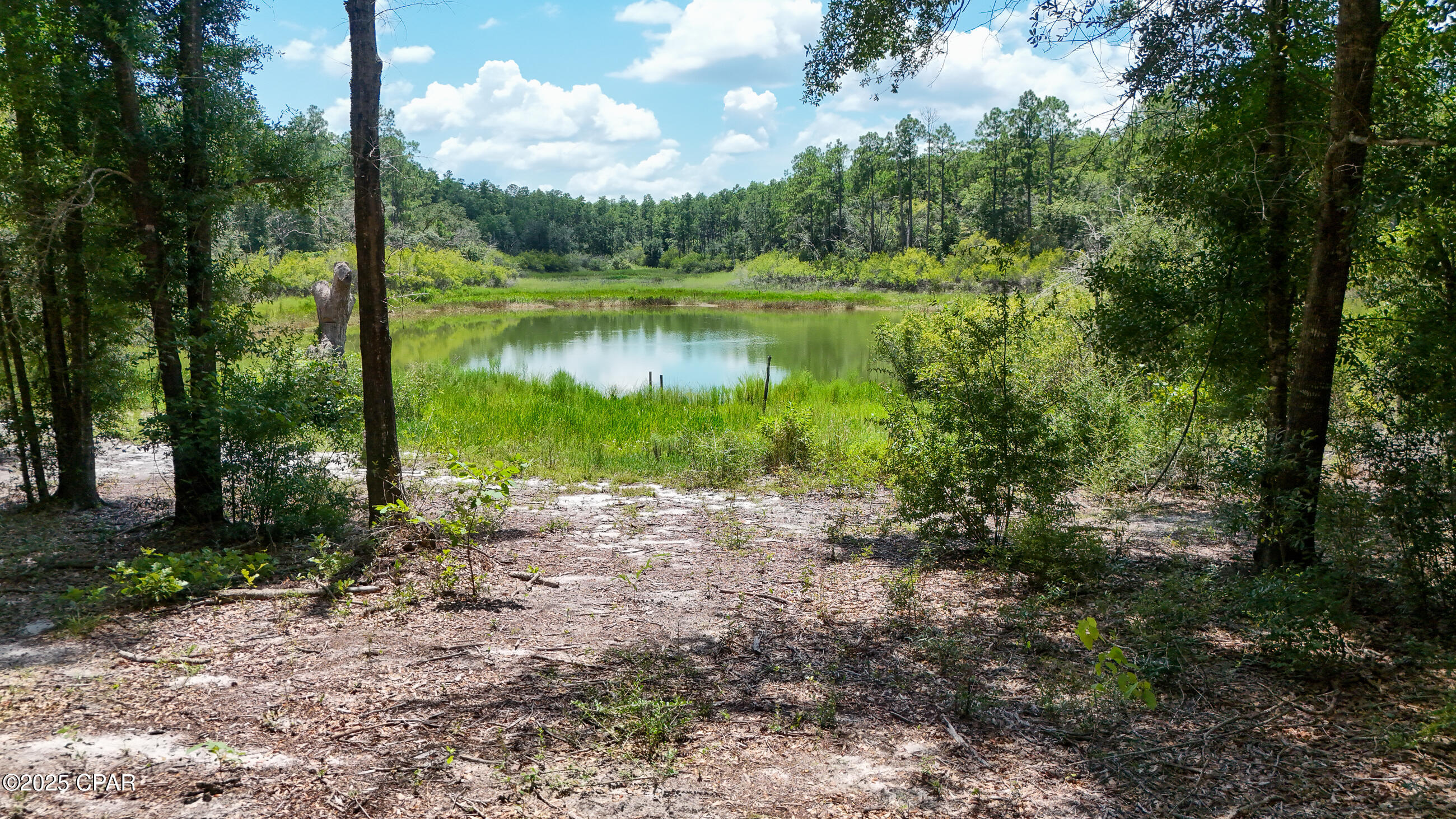 Image 52 For 1371 Deadening Road