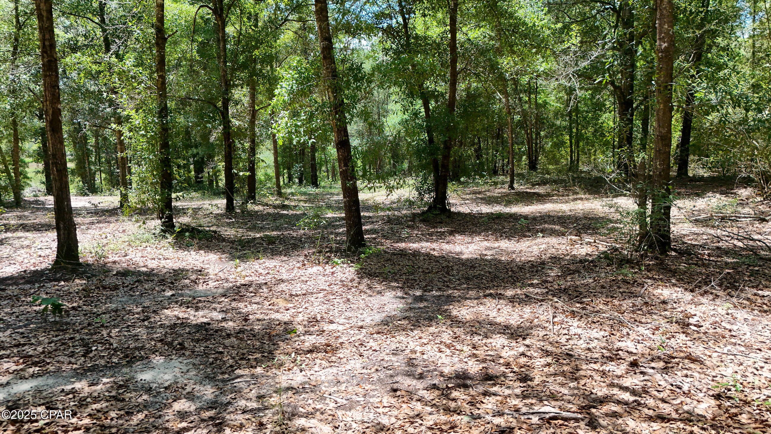 Image 53 For 1371 Deadening Road