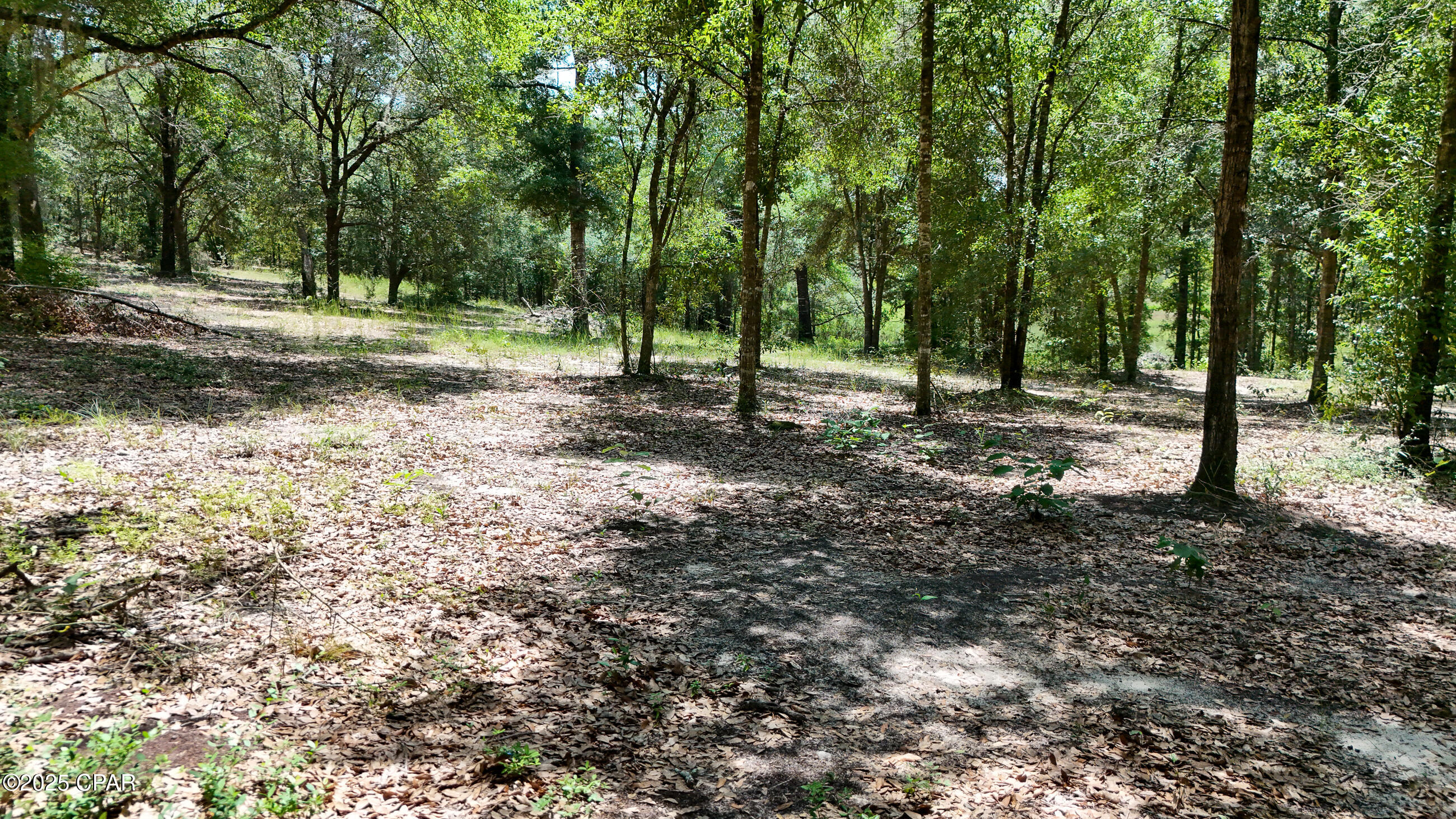 Image 54 For 1371 Deadening Road