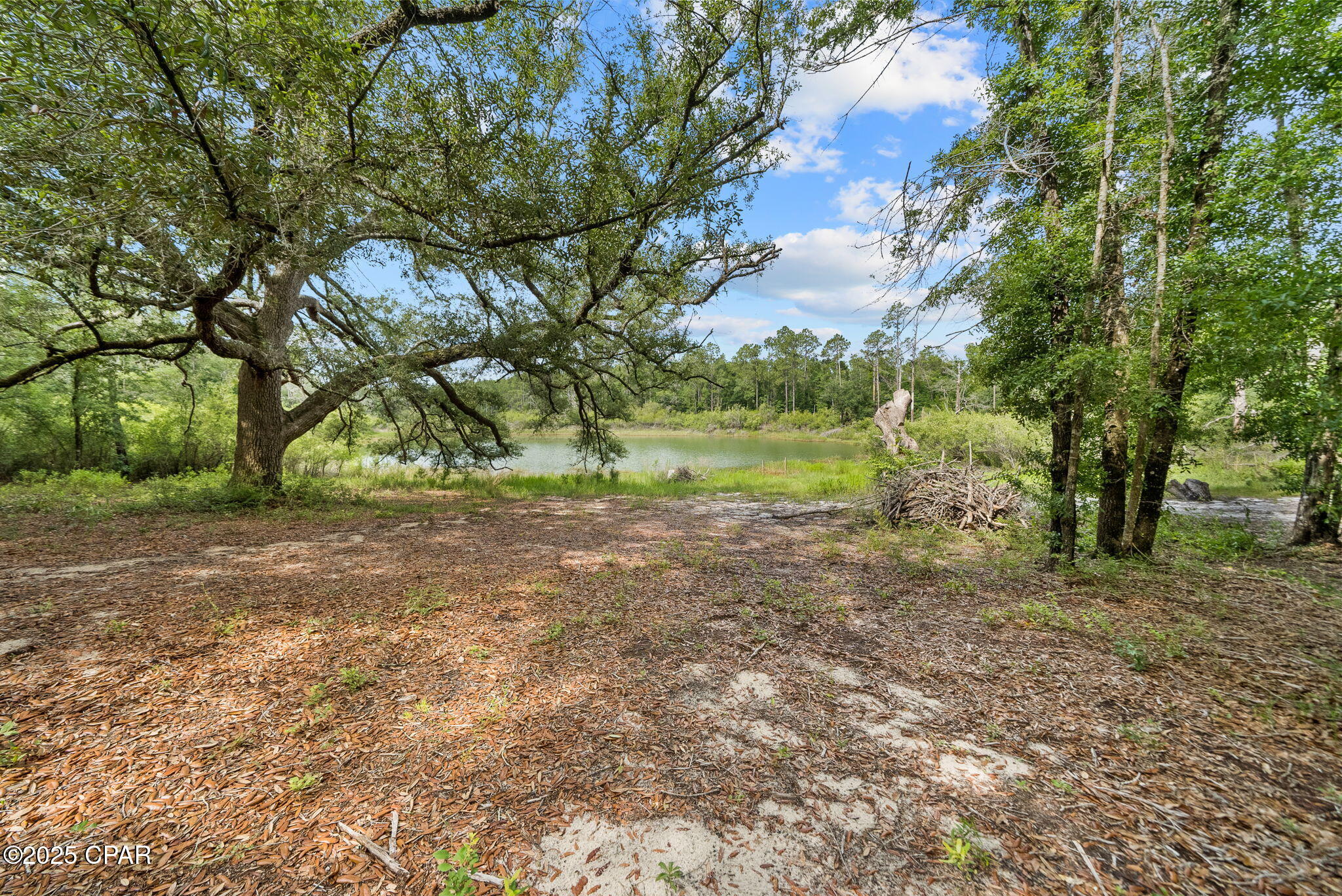 Image 7 For 1371 Deadening Road