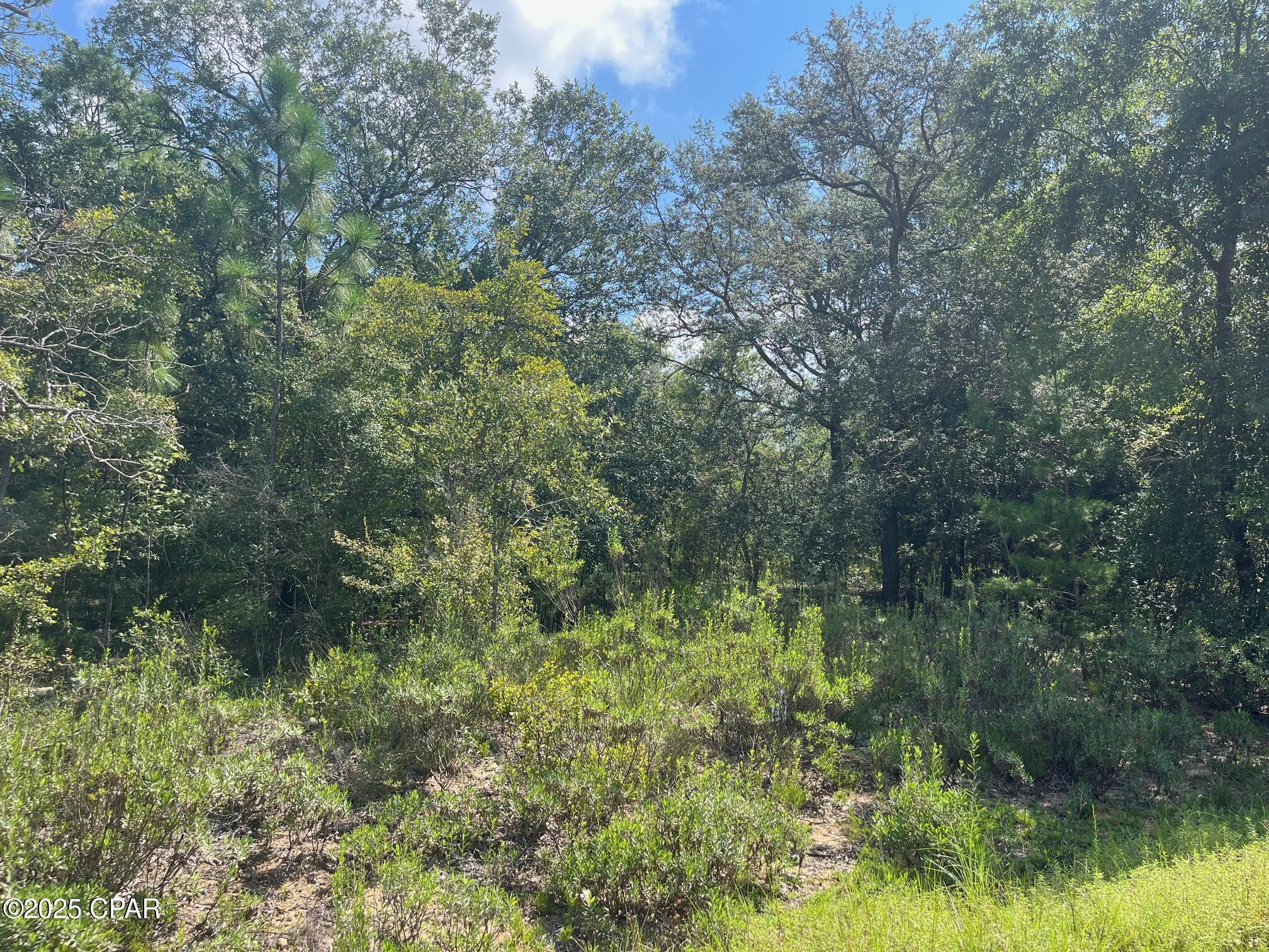 Image 3 For 24 Cynthia Way