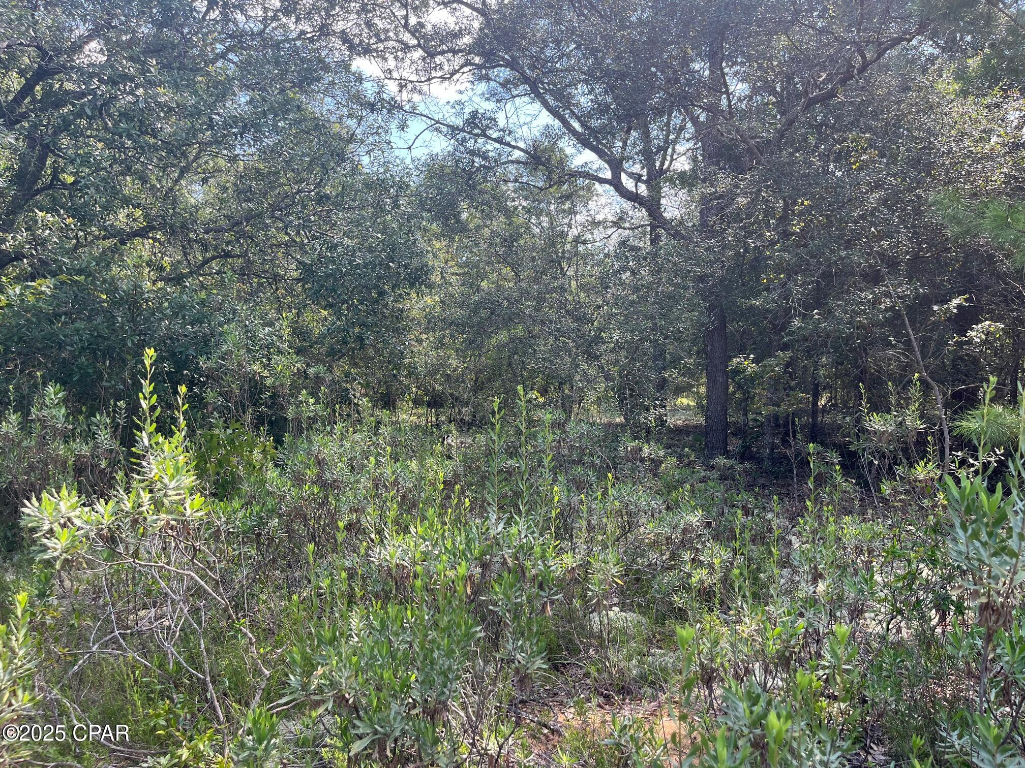 Image 4 For 24 Cynthia Way