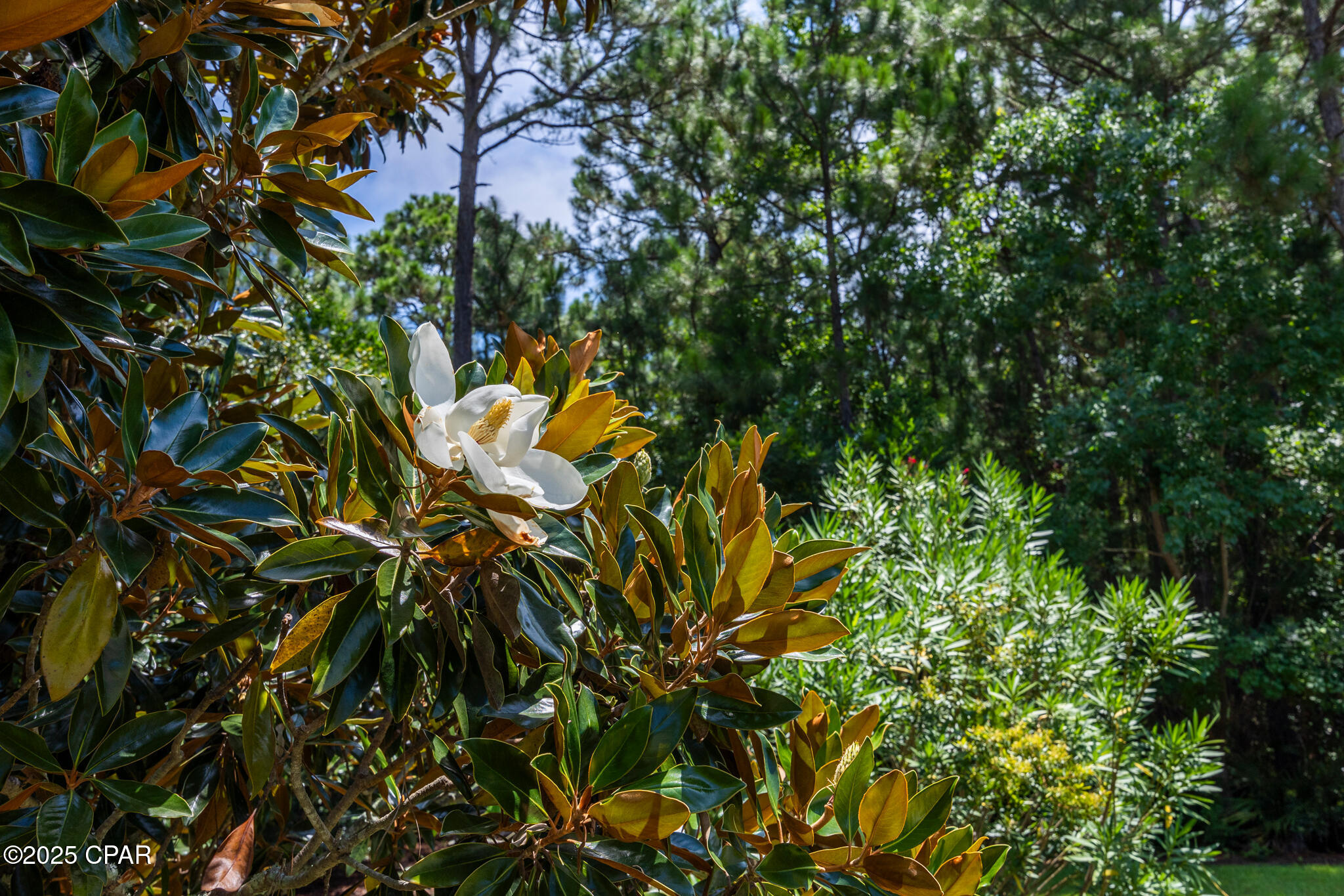 Listing photo id 48 for 130 Shipwreck Road