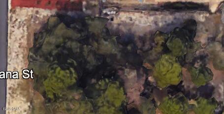 Image 4 For 503 Lantana Street