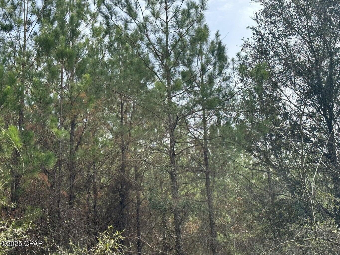 Homes for sale in Bonifay, FL | Tract#6301 W Love Road, Bonifay, FL 32425 | MLS# 777838