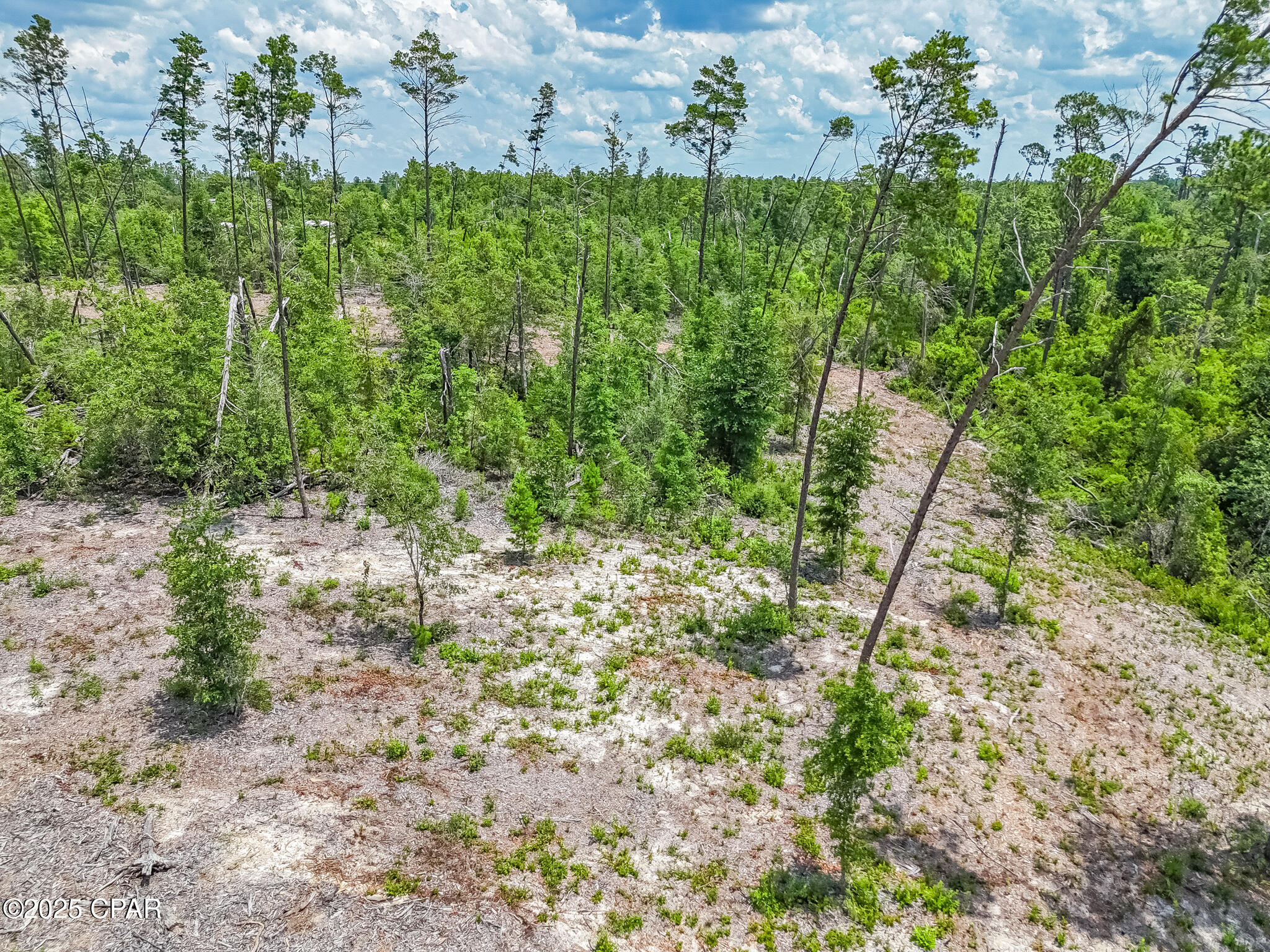 Image 15 For 16208 Kathy Lane