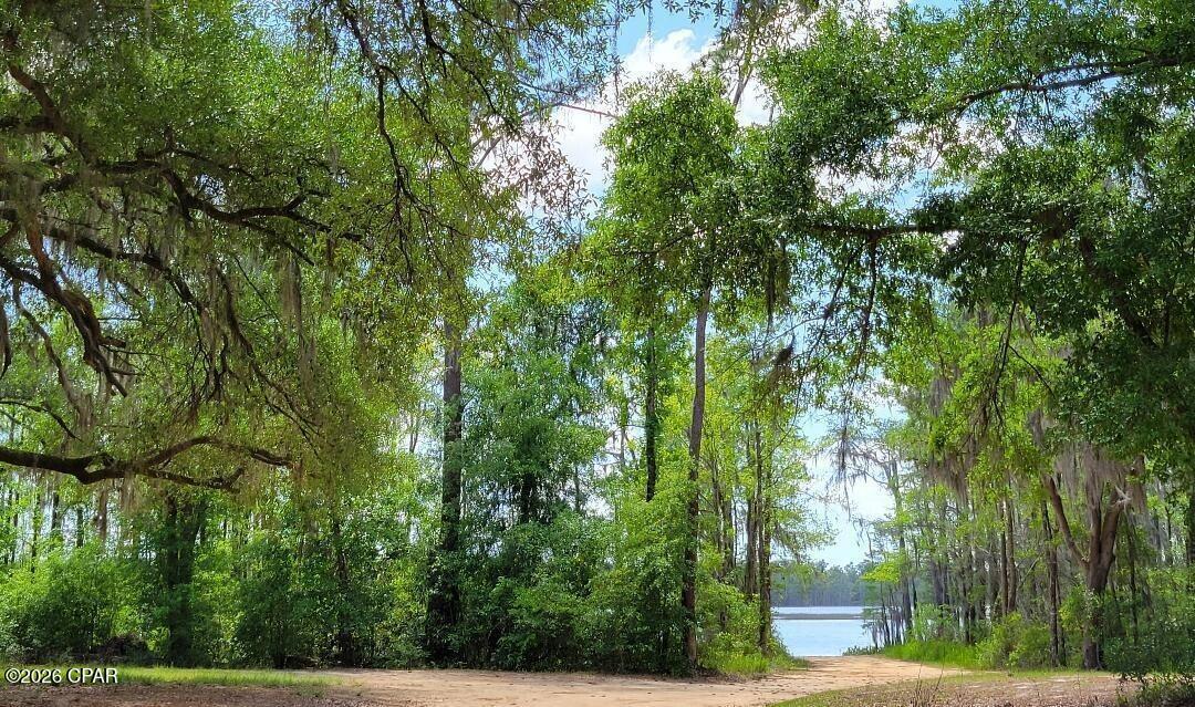 Image 5 For 3 Lots Jamaica Circle