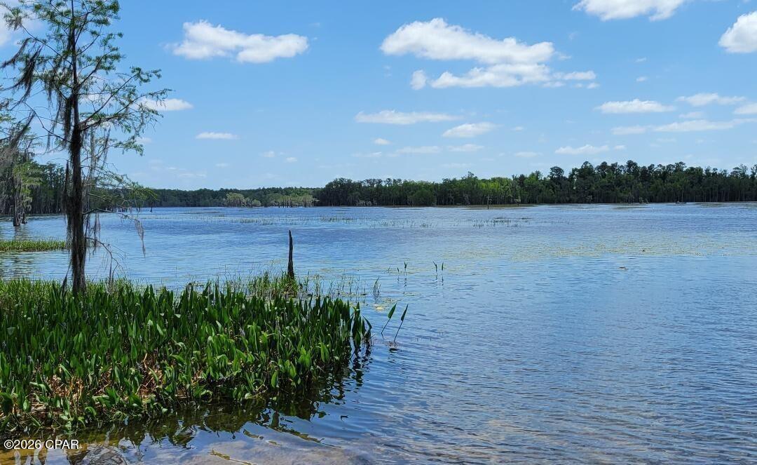 Image 6 For 3 Lots Jamaica Circle