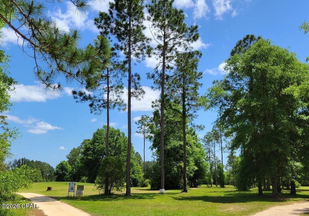 Image 7 For 3 Lots Jamaica Circle