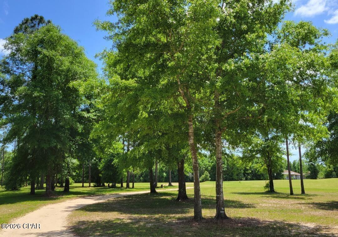 Image 8 For 3 Lots Jamaica Circle