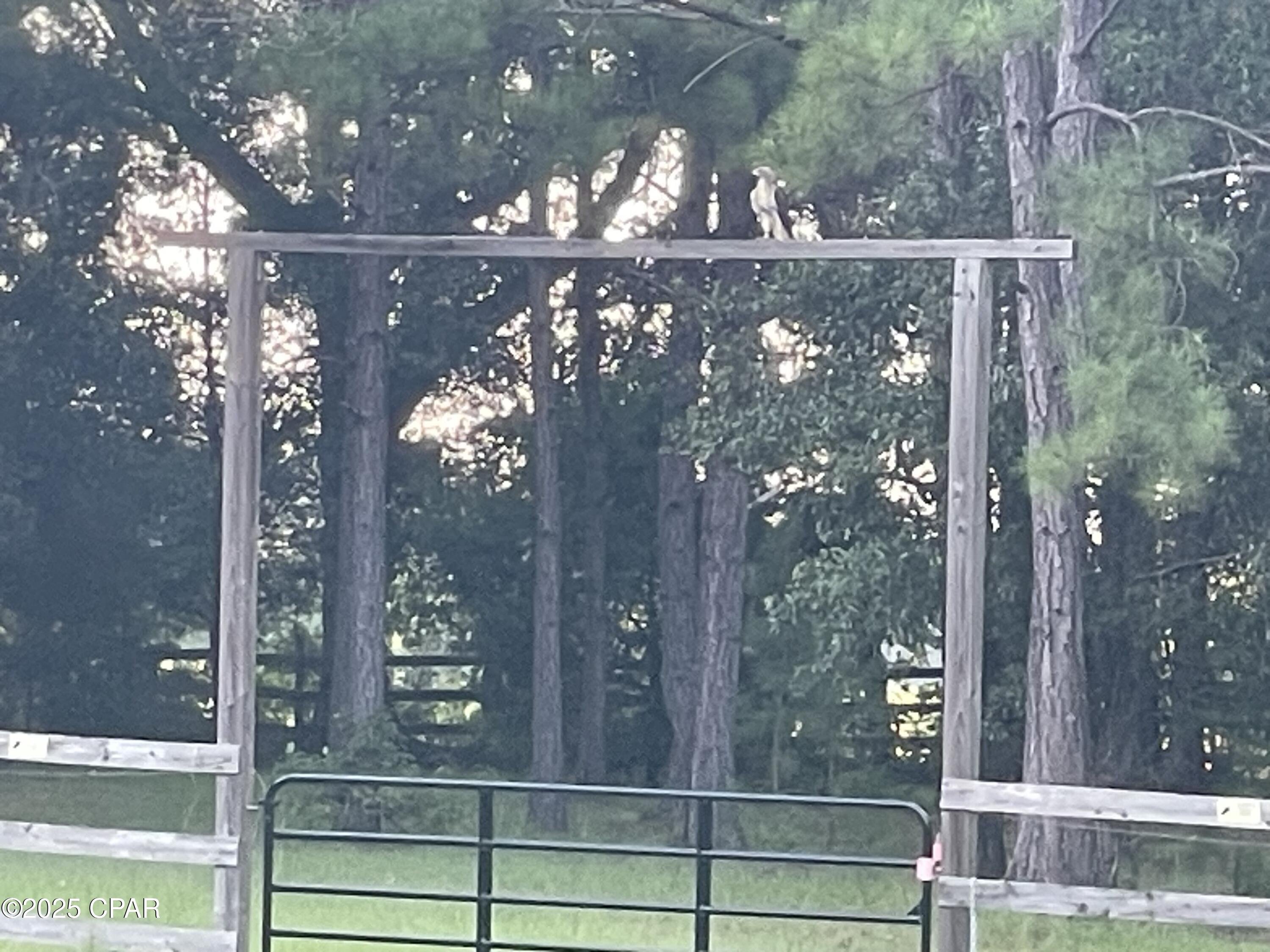 Image 24 For 3754 Annie Road